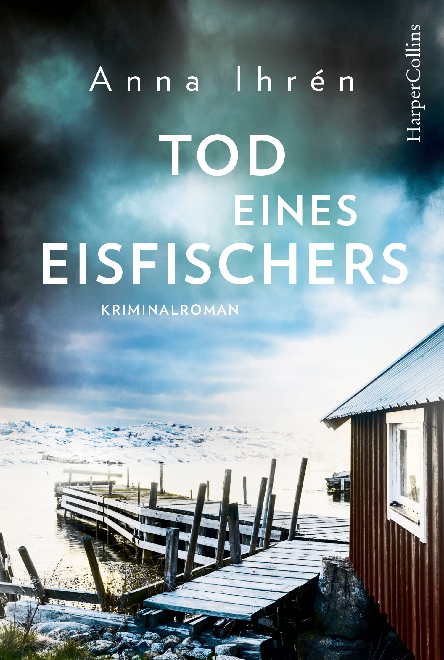 Tod eines Eisfischers Contemporary literature Books