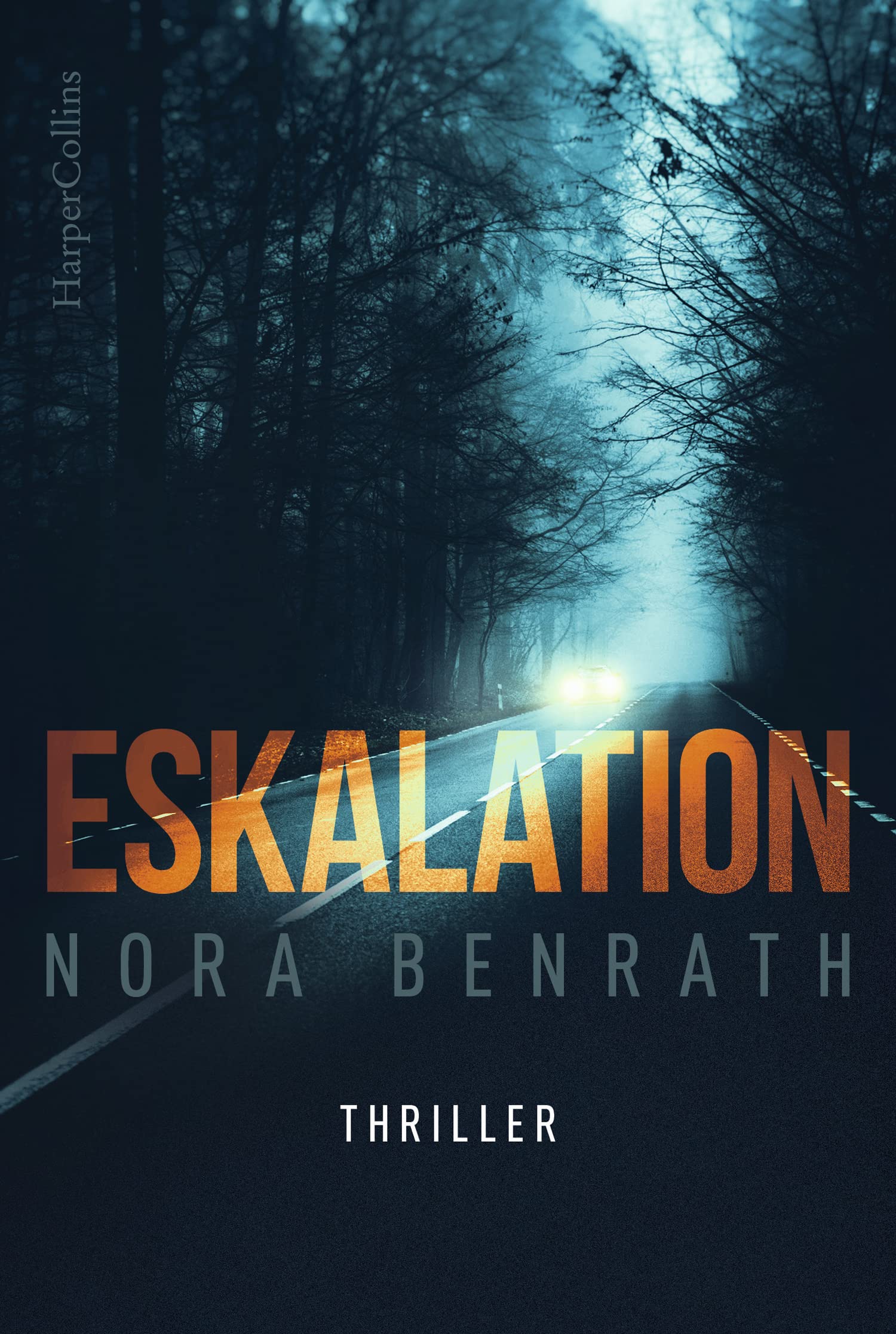Eskalation Contemporary literature Books