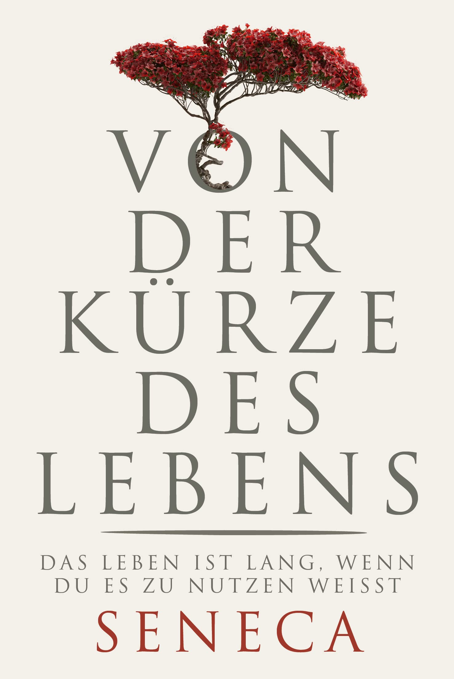 Von der Kürze des Lebens Historical Fiction