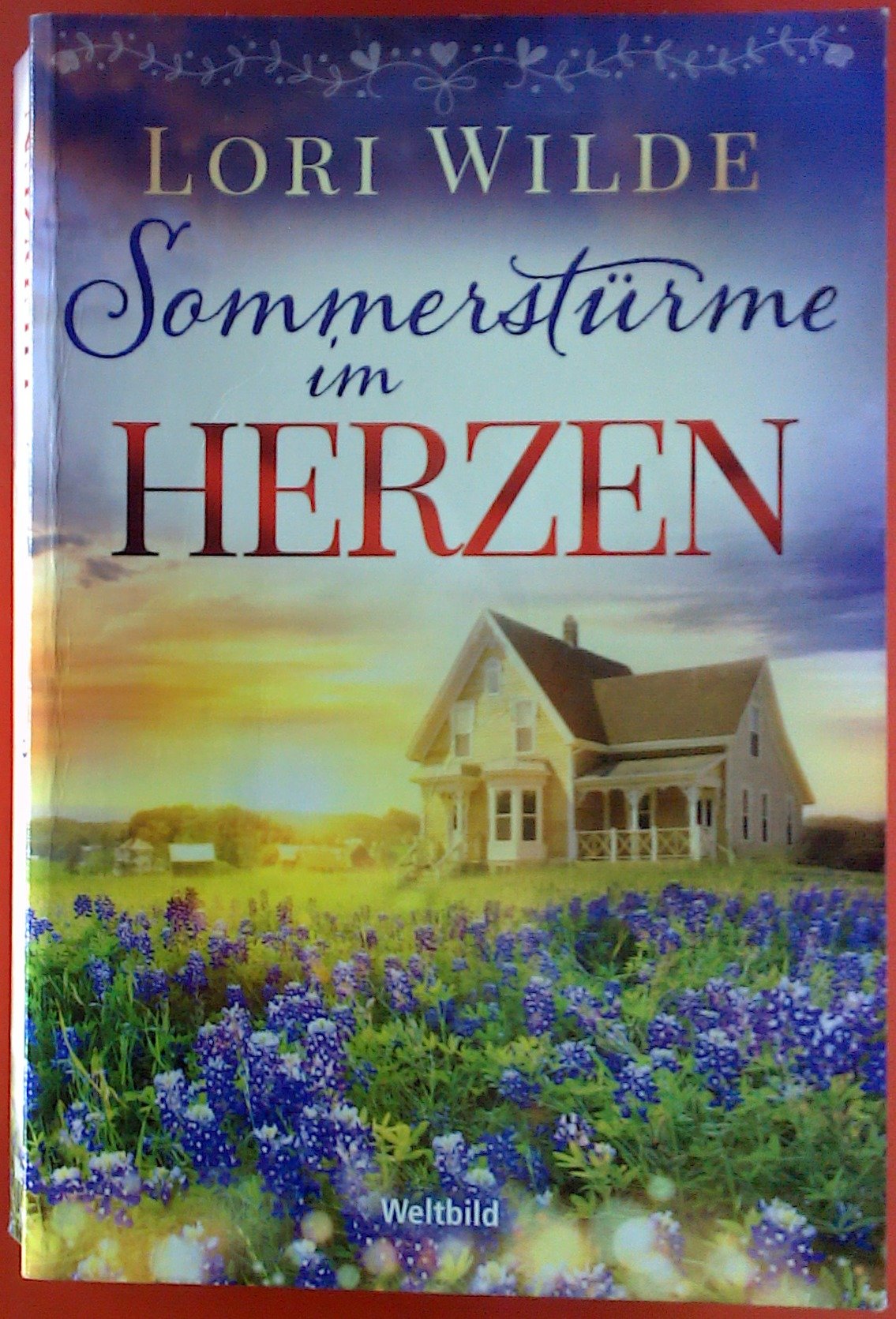 Product Image: Sommerstürme im Herzen