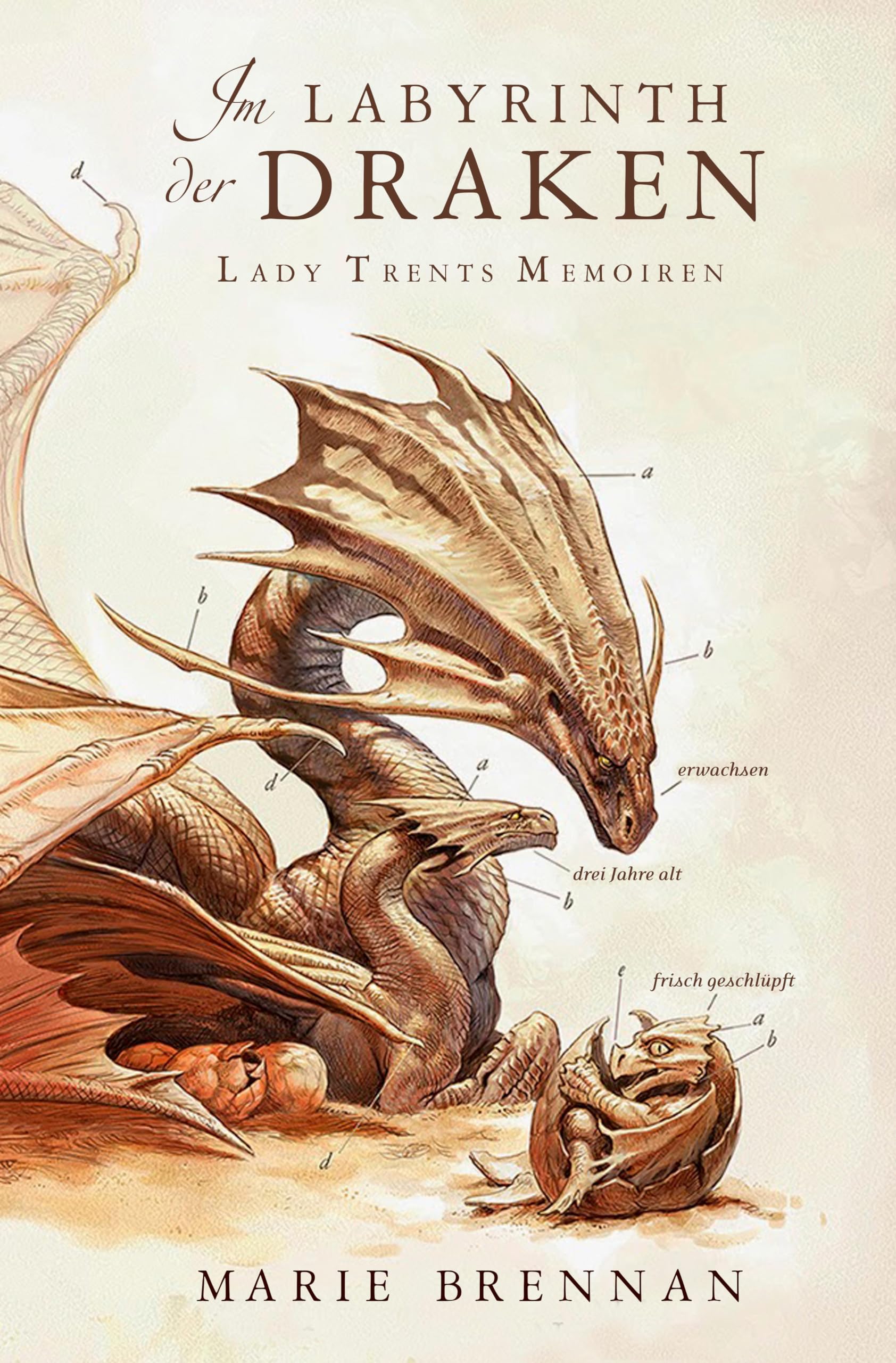 Lady Trents Memoiren 4: Im Labyrinth der Draken Personalities