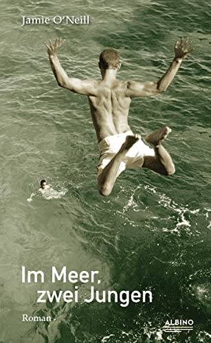 Im Meer, zwei Jungen: Roman Contemporary literature