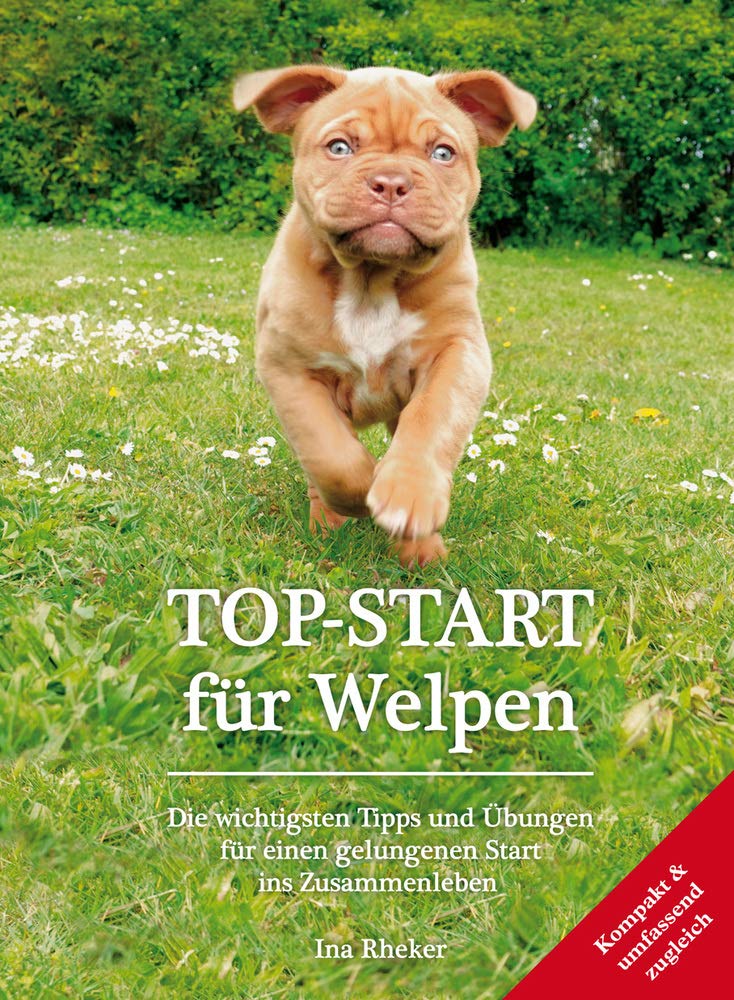 TOP-START für Welpen Pets