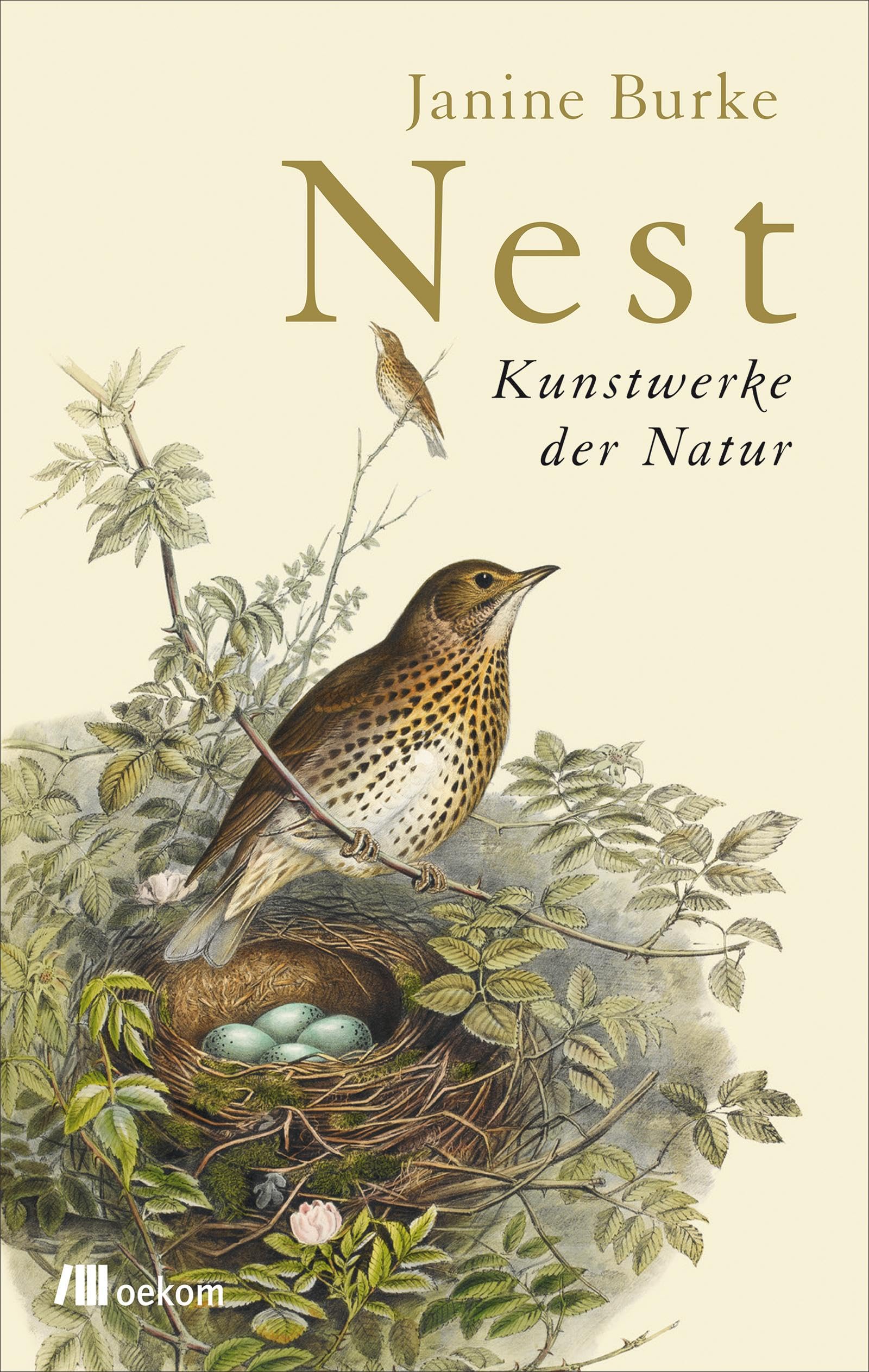 Product Image: Nest