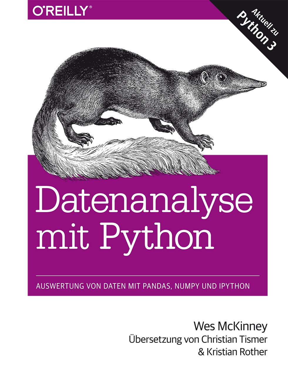 Datenanalyse mit Python: Auswertung von Daten mit Pandas, NumPy und IPython Computer Science