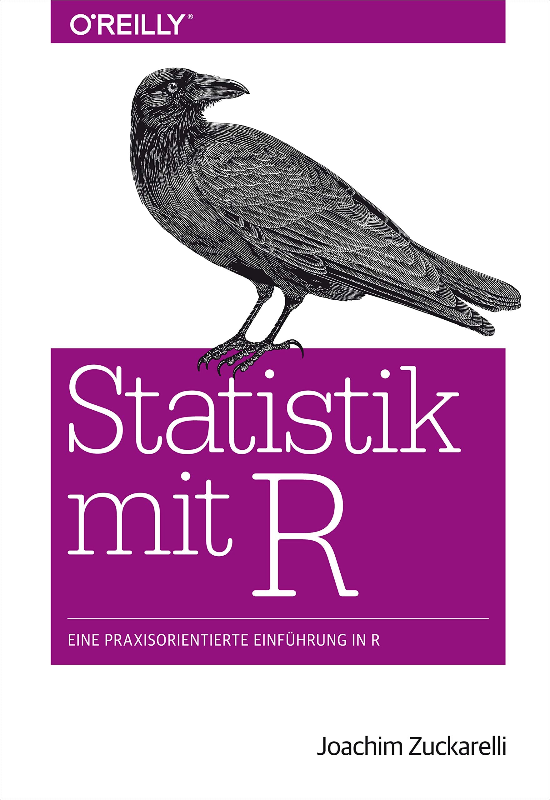 Product Image: Statistik mit R