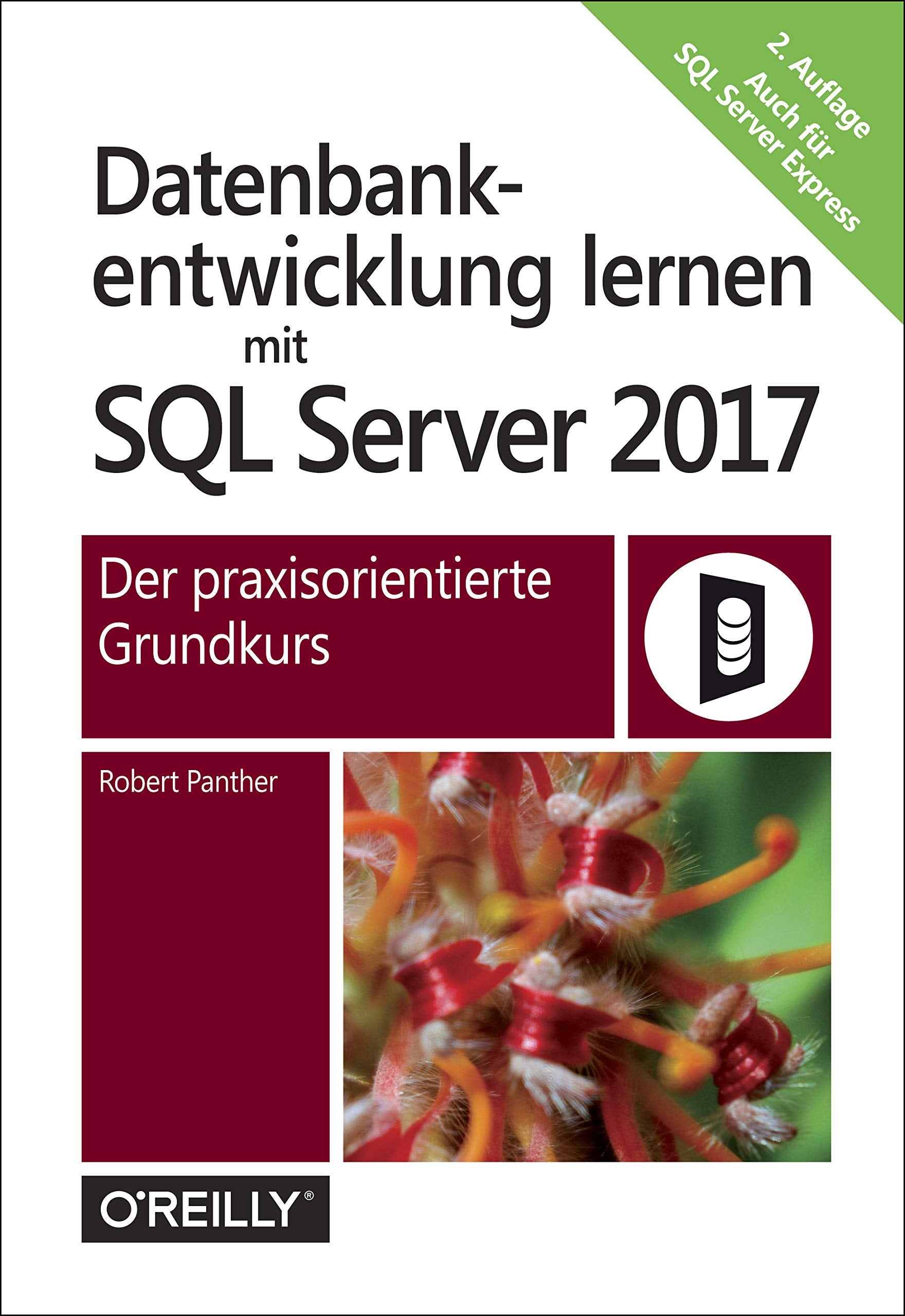 Datenbankentwicklung lernen mit SQL Server 2017 Computer Science Books
