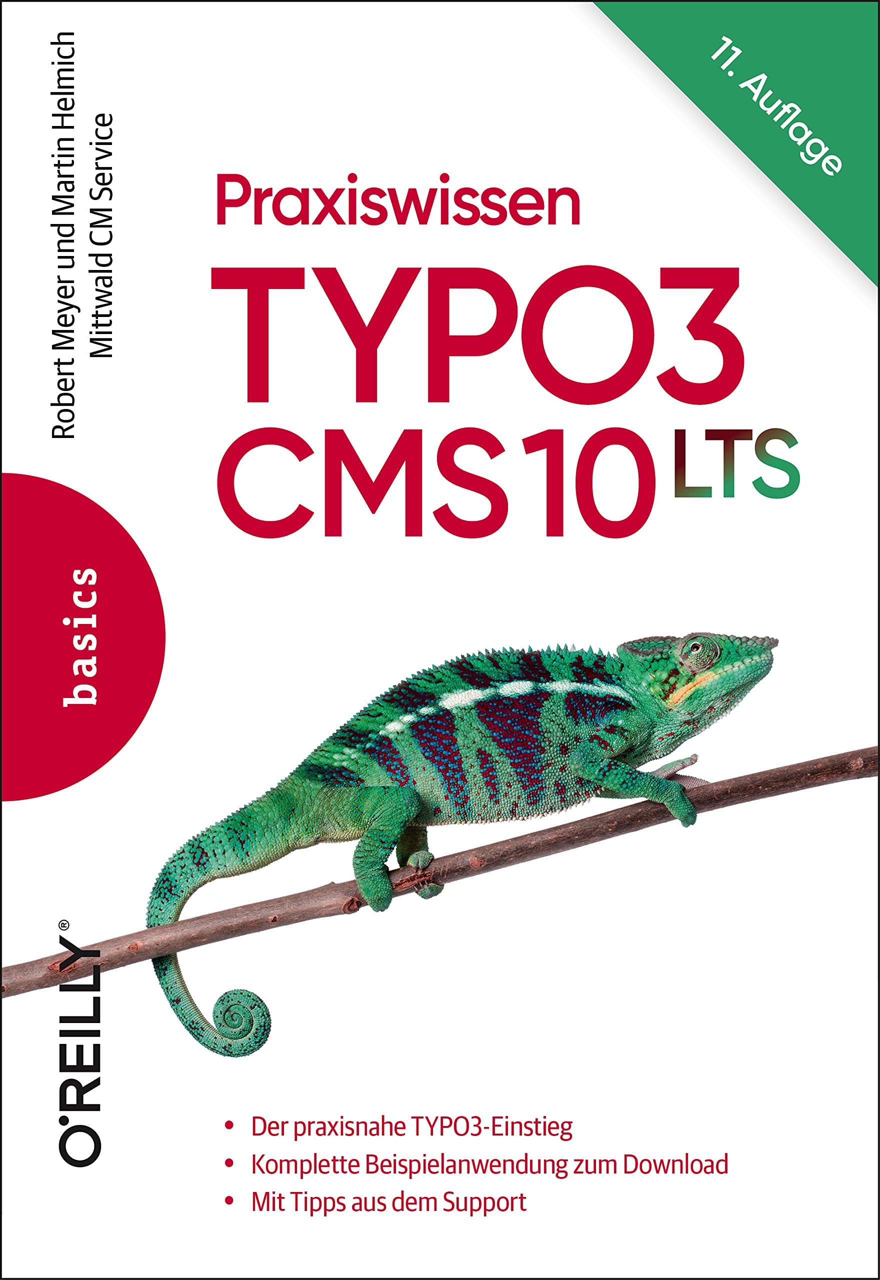 Praxiswissen TYPO3 CMS 10 LTS Business, Finance & Career Books