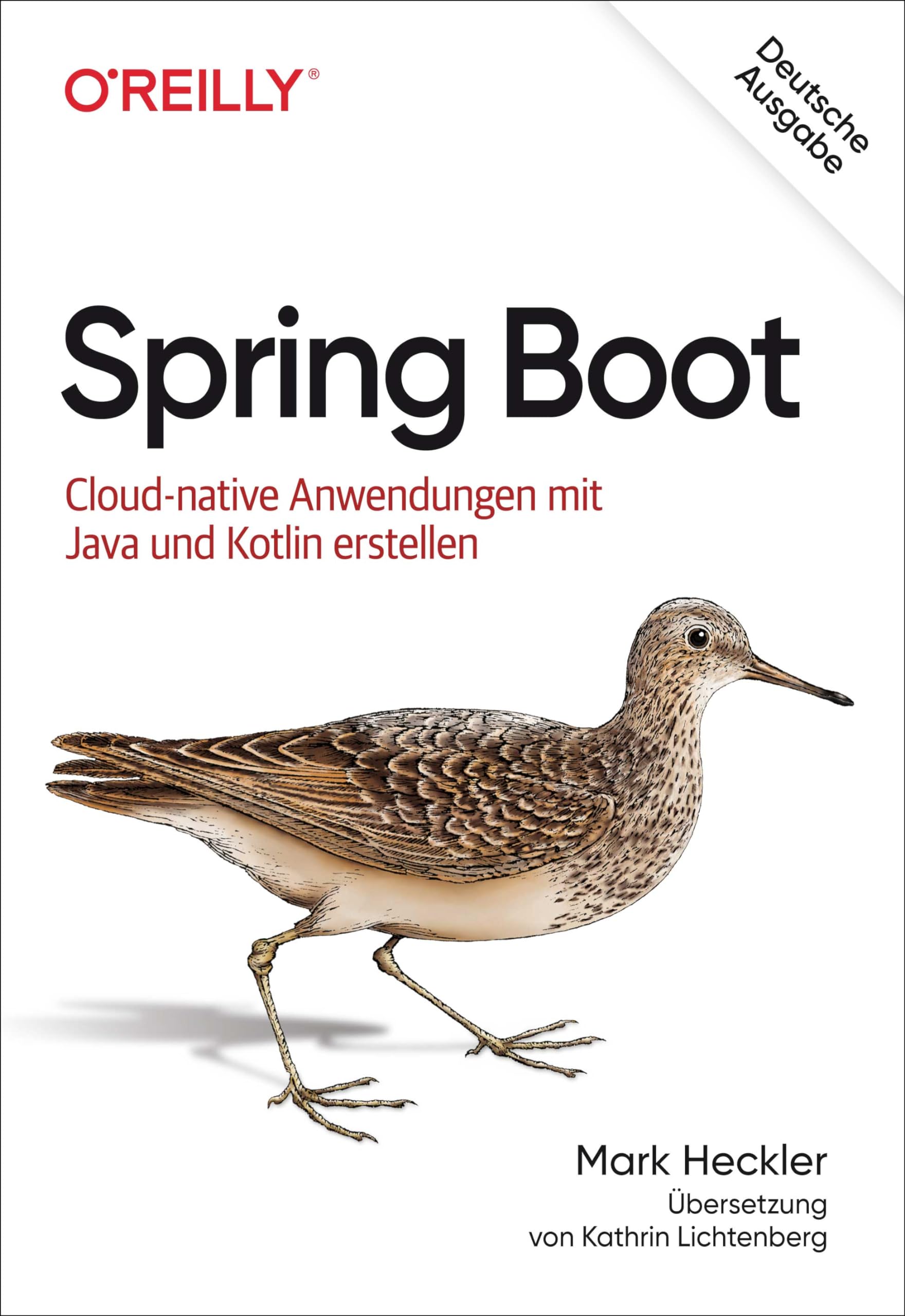 Spring Boot Computer Science