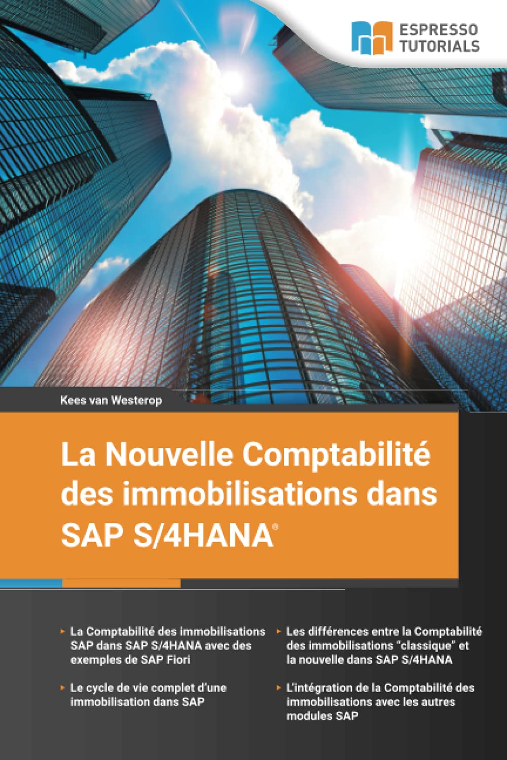 La Nouvelle Comptabilité des immobilisations dans SAP S4/HANA book