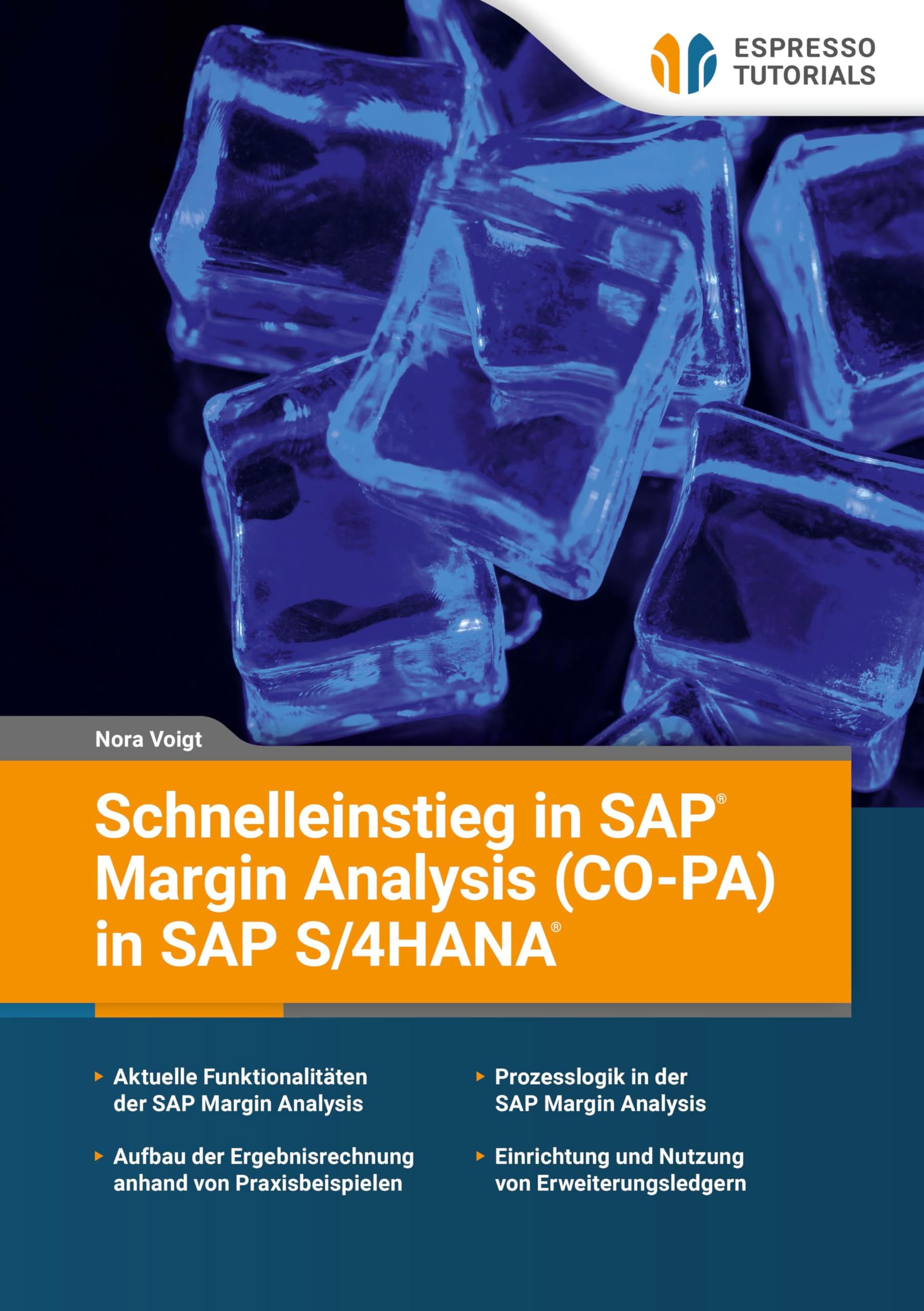 Schnelleinstieg in SAP Margin Analysis (CO-PA) in SAP S/4HANA Computer Science