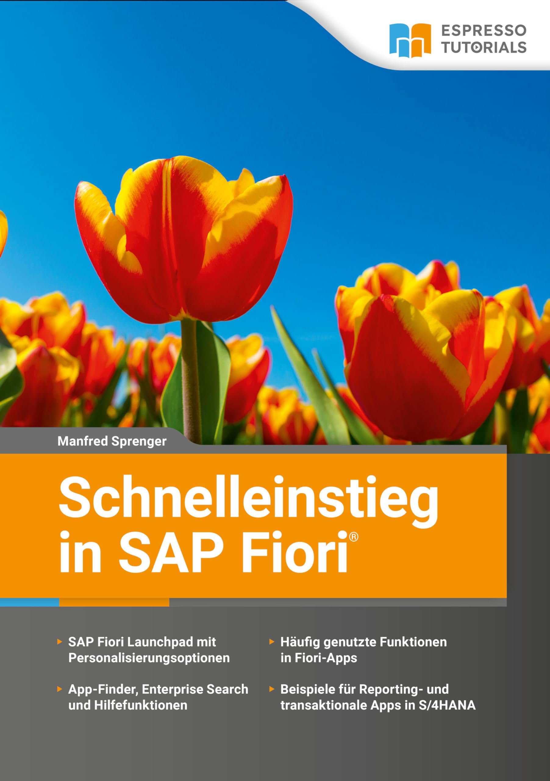 Schnelleinstieg in SAP Fiori Computer Science