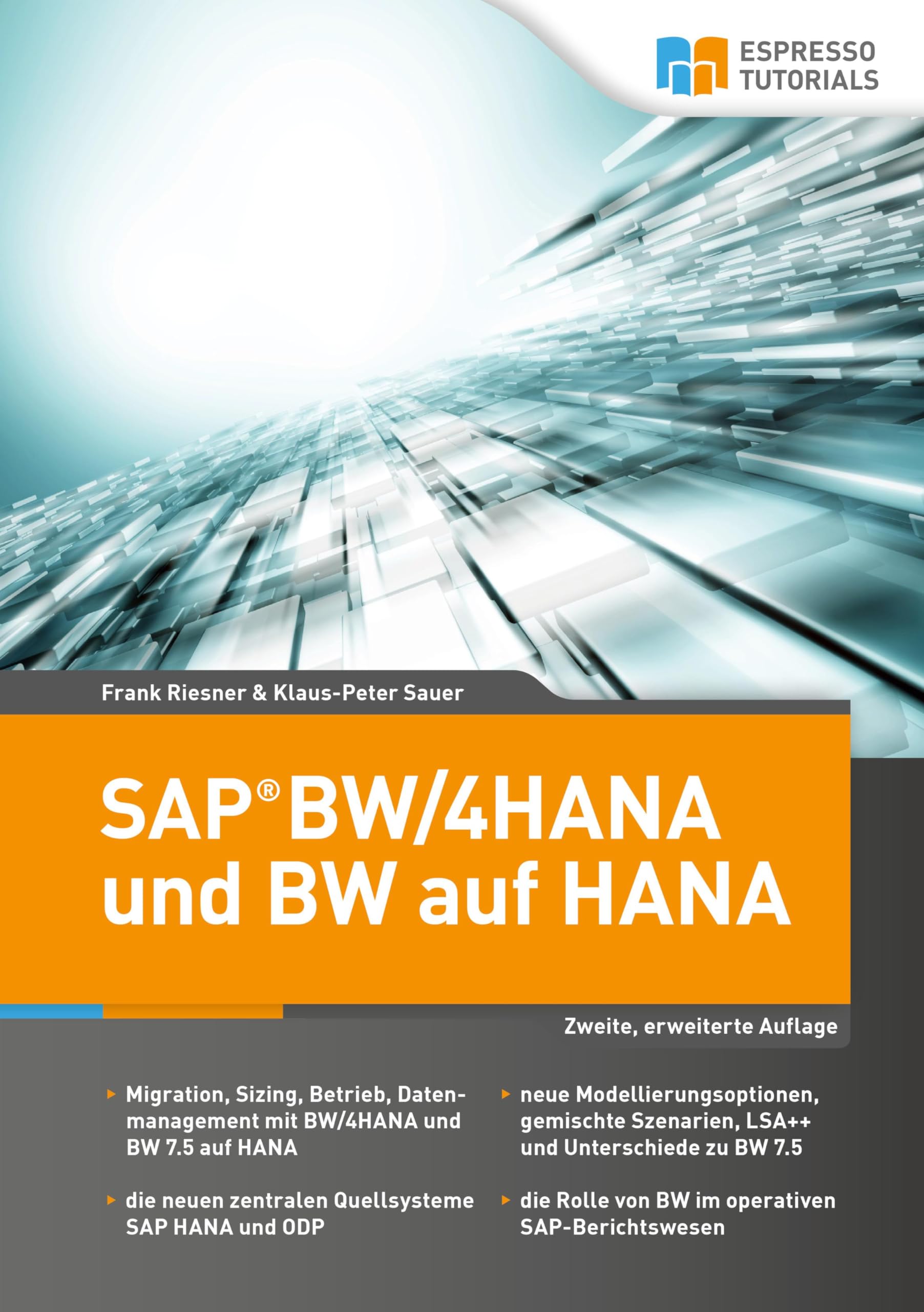 SAP BW/4HANA und BW auf HANA Computer Science