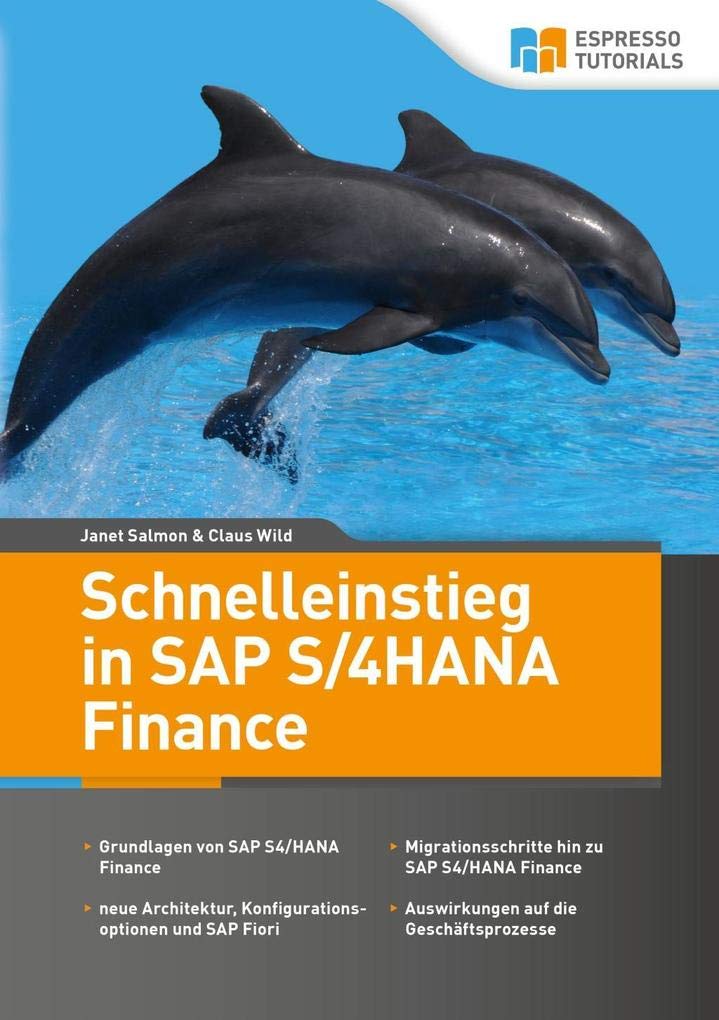 Schnelleinstieg in SAP S/4HANA Finance Computer Science