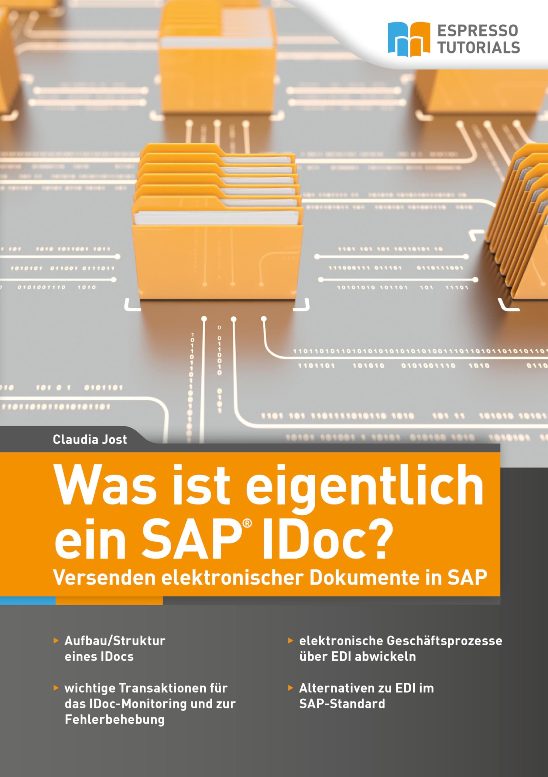 Was ist eigentlich ein SAP IDoc? Versenden elektronischer Dokumente in SAP Computer Science