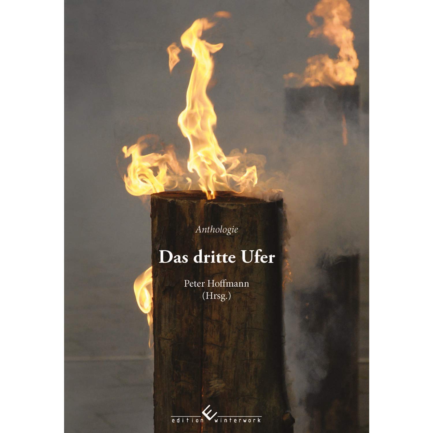 Das dritte Ufer: Anthologie Contemporary literature Books