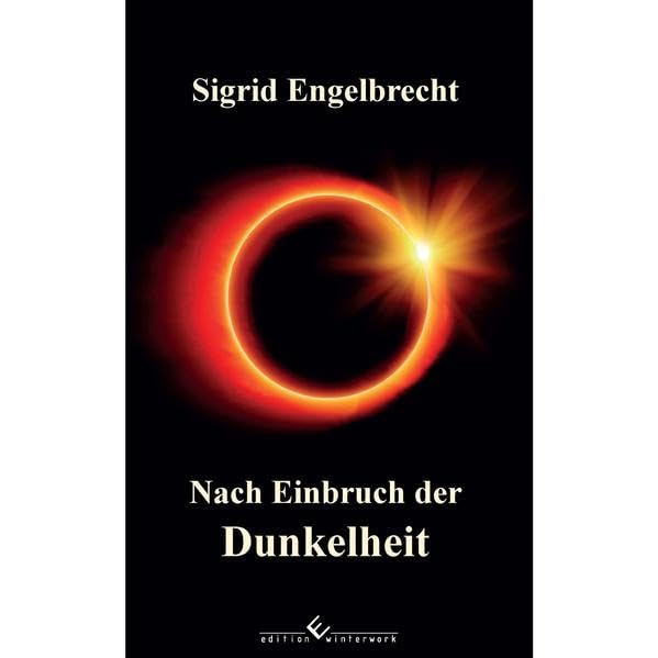 Nach Einbruch der Dunkelheit: Ein Roman über Grenze Contemporary literature