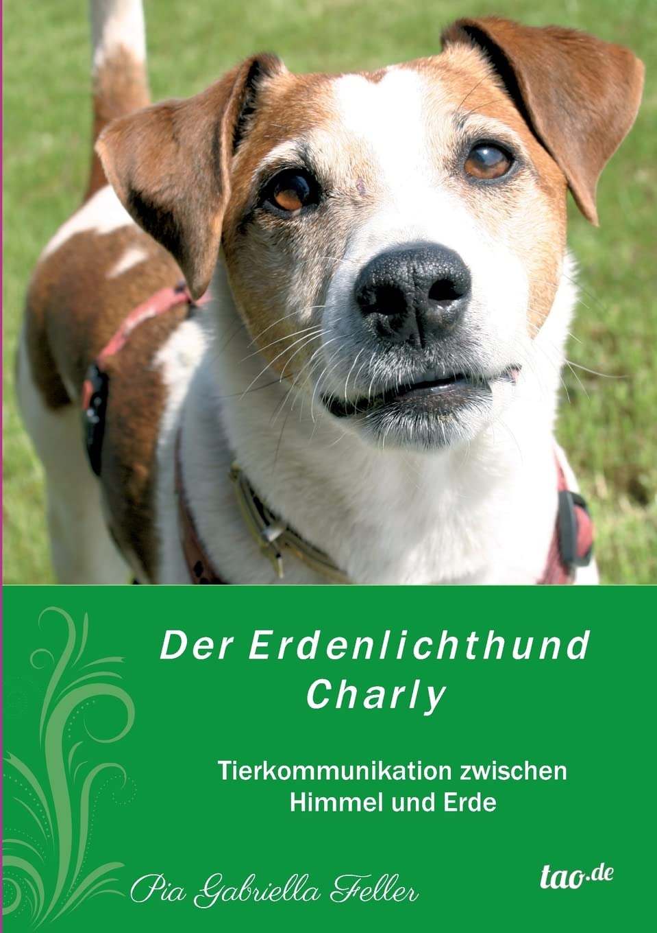 Der Erdenlichthund Charly: Tierkommunikation zwischen Himmel und Erde Lifestyle