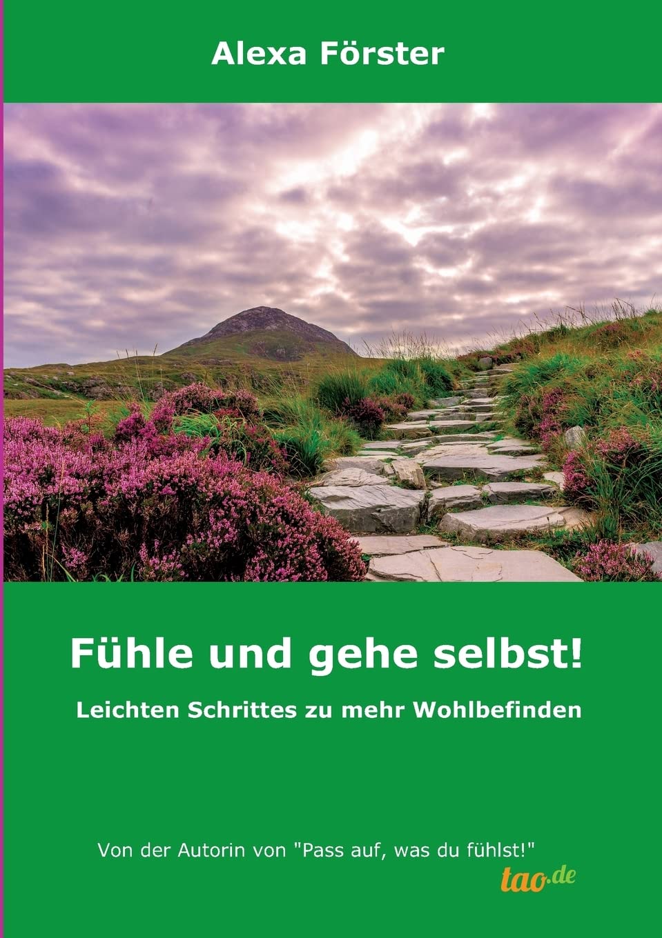 Fühle und gehe selbst! book