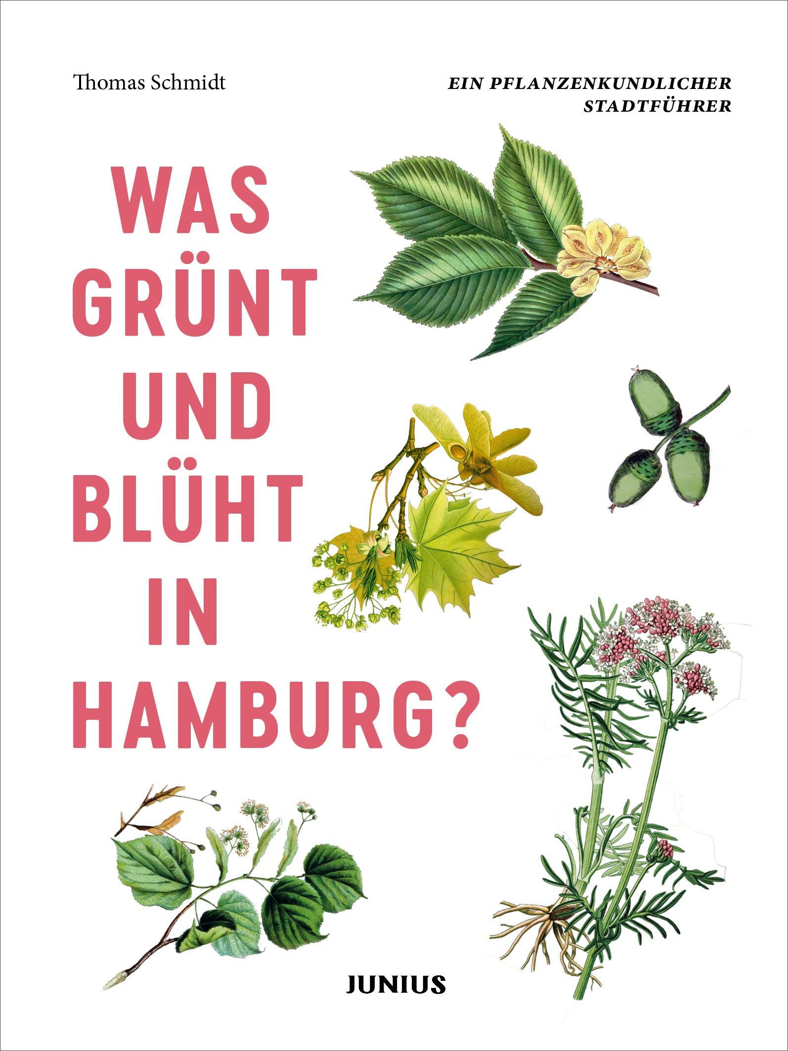 Was grünt und blüht in Hamburg? Leisure, Home & Garden