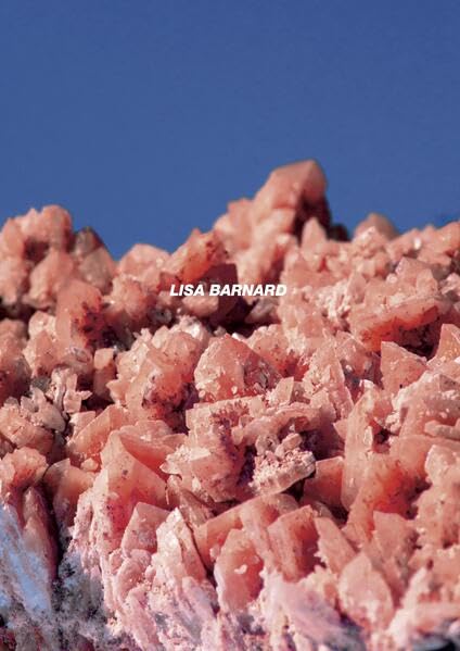 After Nature | Ulrike Crespo Photography Prize 2025 Media & Communication