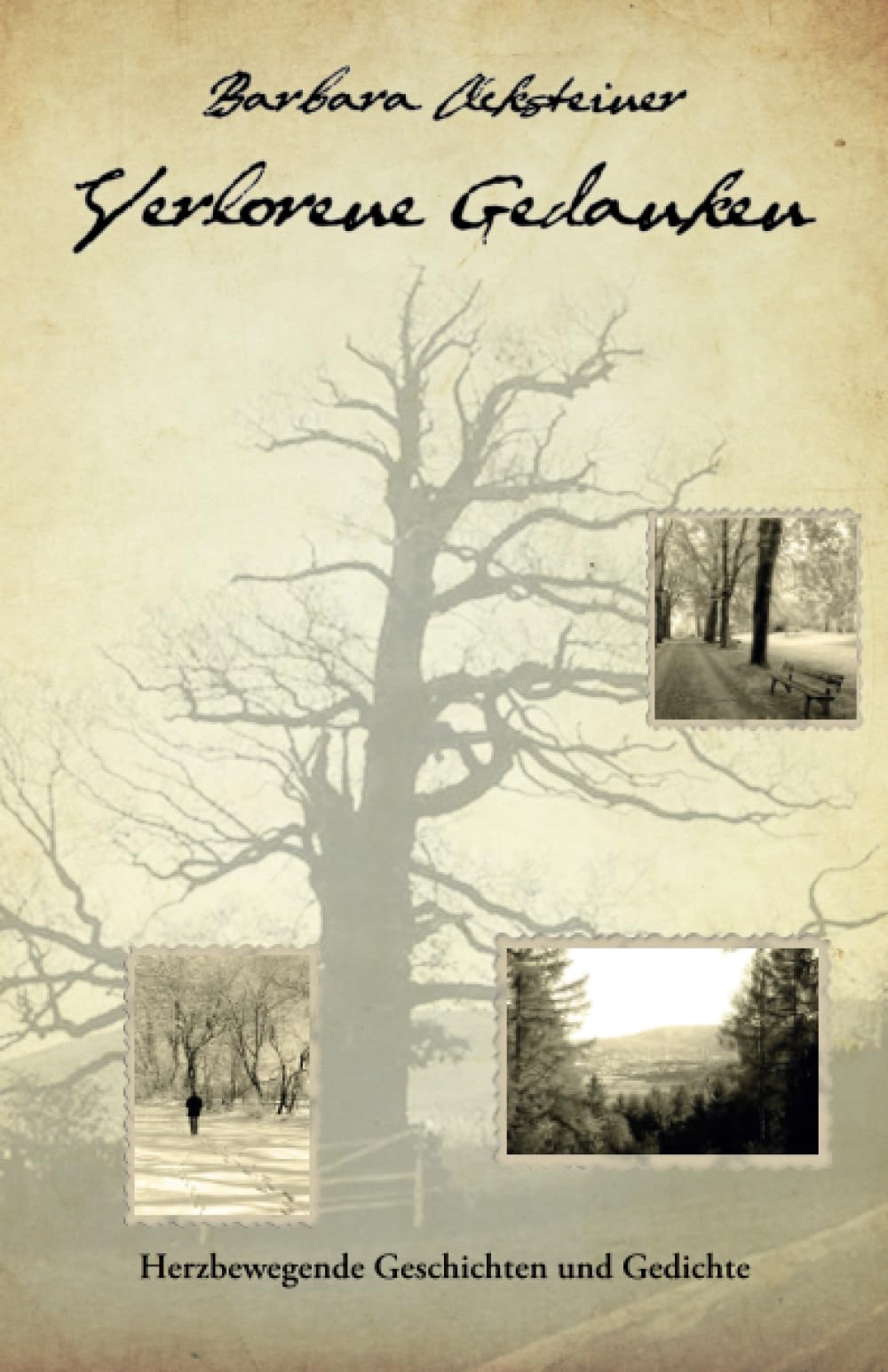 Verlorene Gedanken Contemporary literature Books