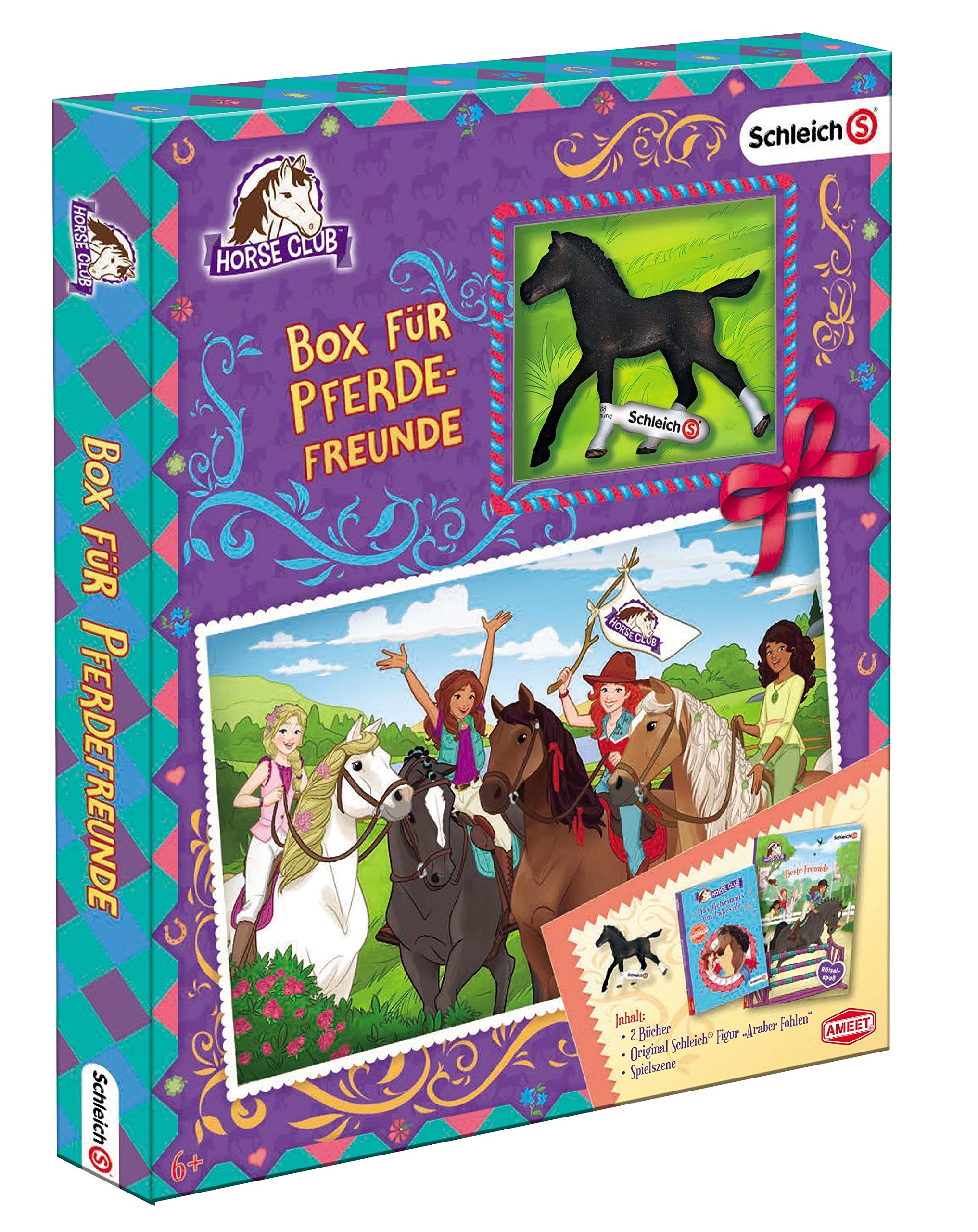 SCHLEICH® Horse Club - Box für Pferdefreunde book