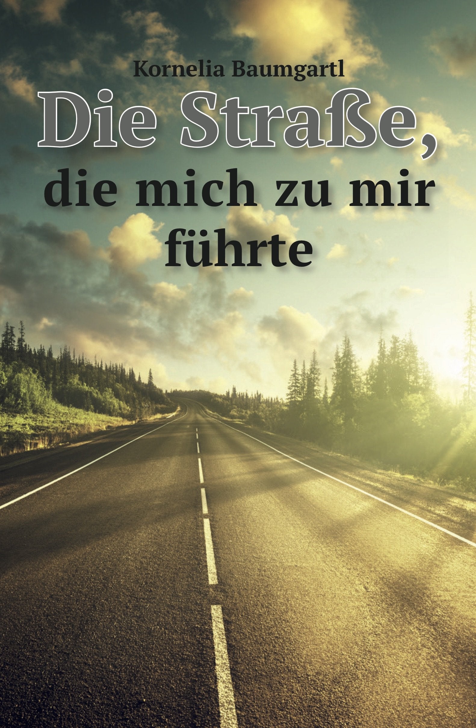 Die Straße, die mich zu mir führte Books