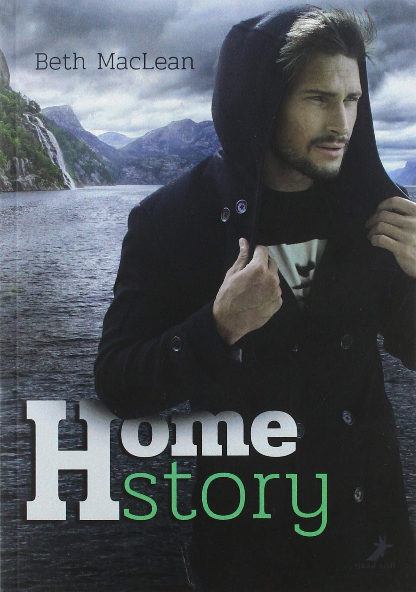 Homestory Contemporary literature Books