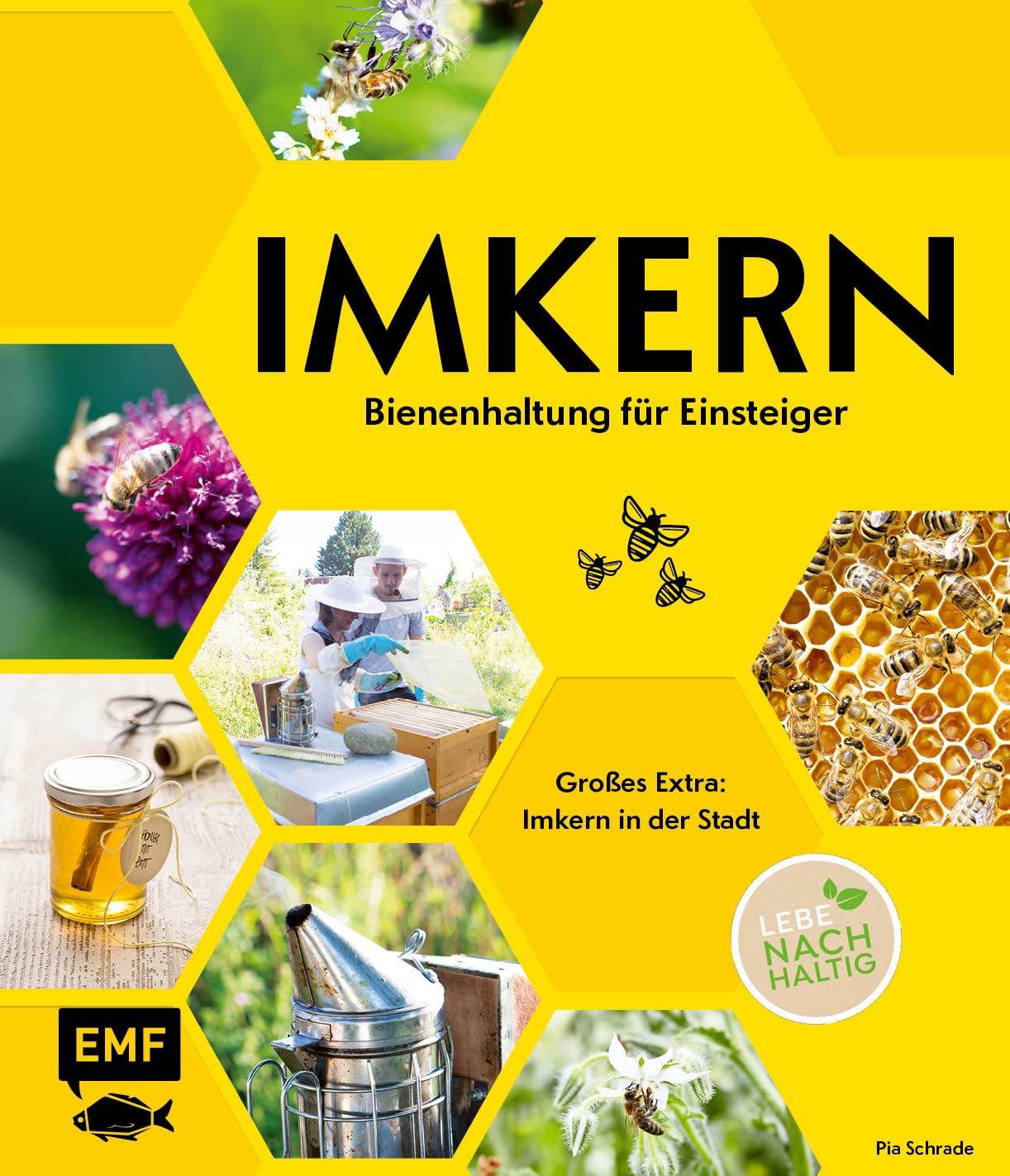 Imkern – Bienenhaltung für Einsteiger: Großes Extra: Imkern in der Stadt Garden & Plants