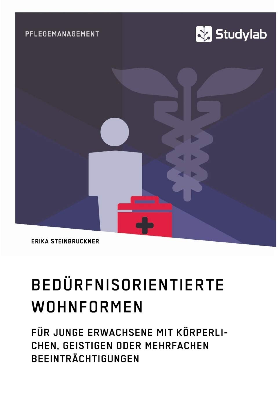 Bedürfnisorientierte Wohnformen für junge Erwachsene mit körperlichen, geistigen oder mehrfachen Beeinträchtigungen: Magisterarbeit Law