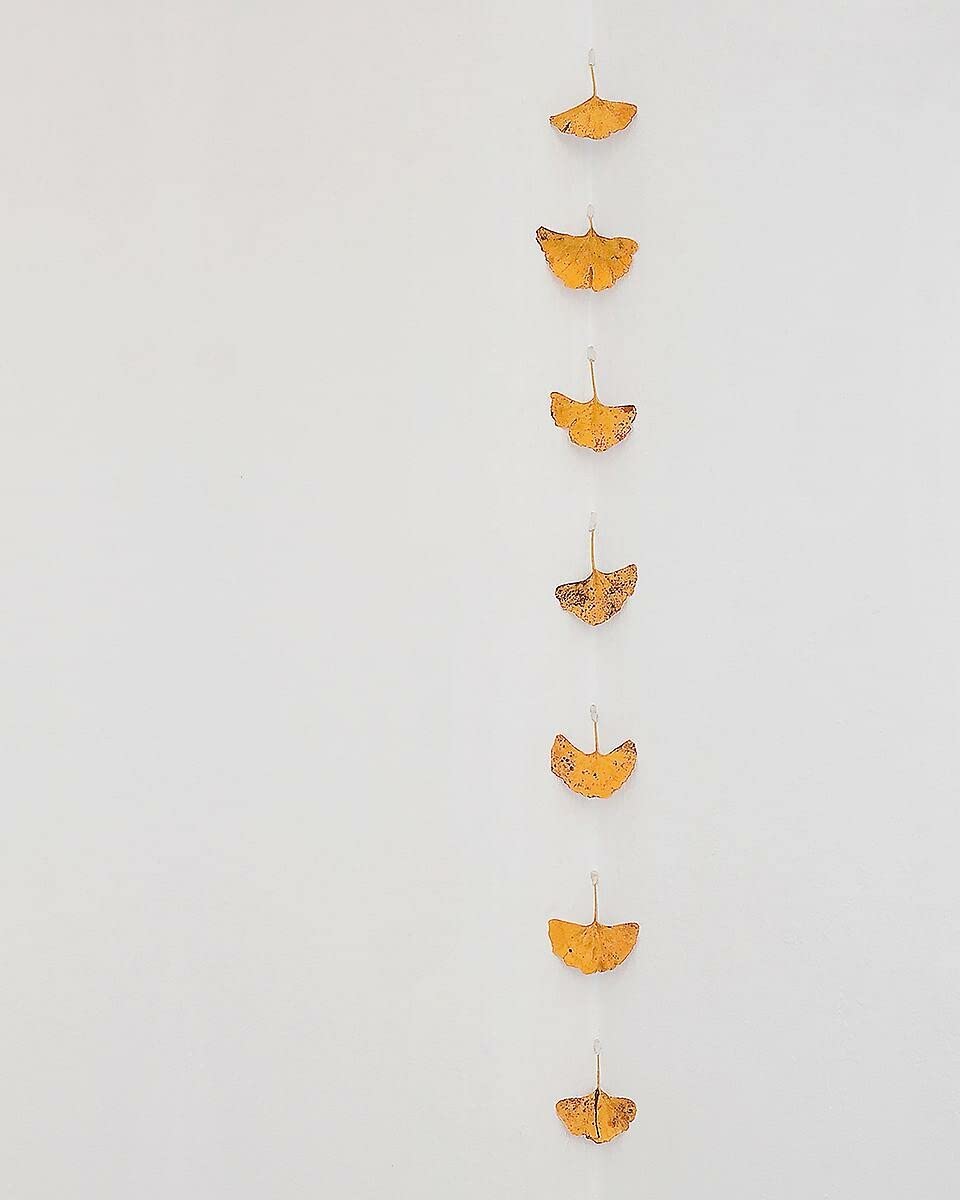 Hreinn Friðfinnsson. Works 1964 - 2019: Ausst. Kat. Centre d’Art Contemporain Genève, 2019. KW Institute for Contemporary Art, Berlin, 2019 – 2020 Film, Art & Culture