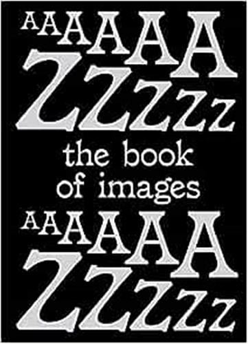 The Book of Images A dictionary of Visual Experiences Business, Finance & Career