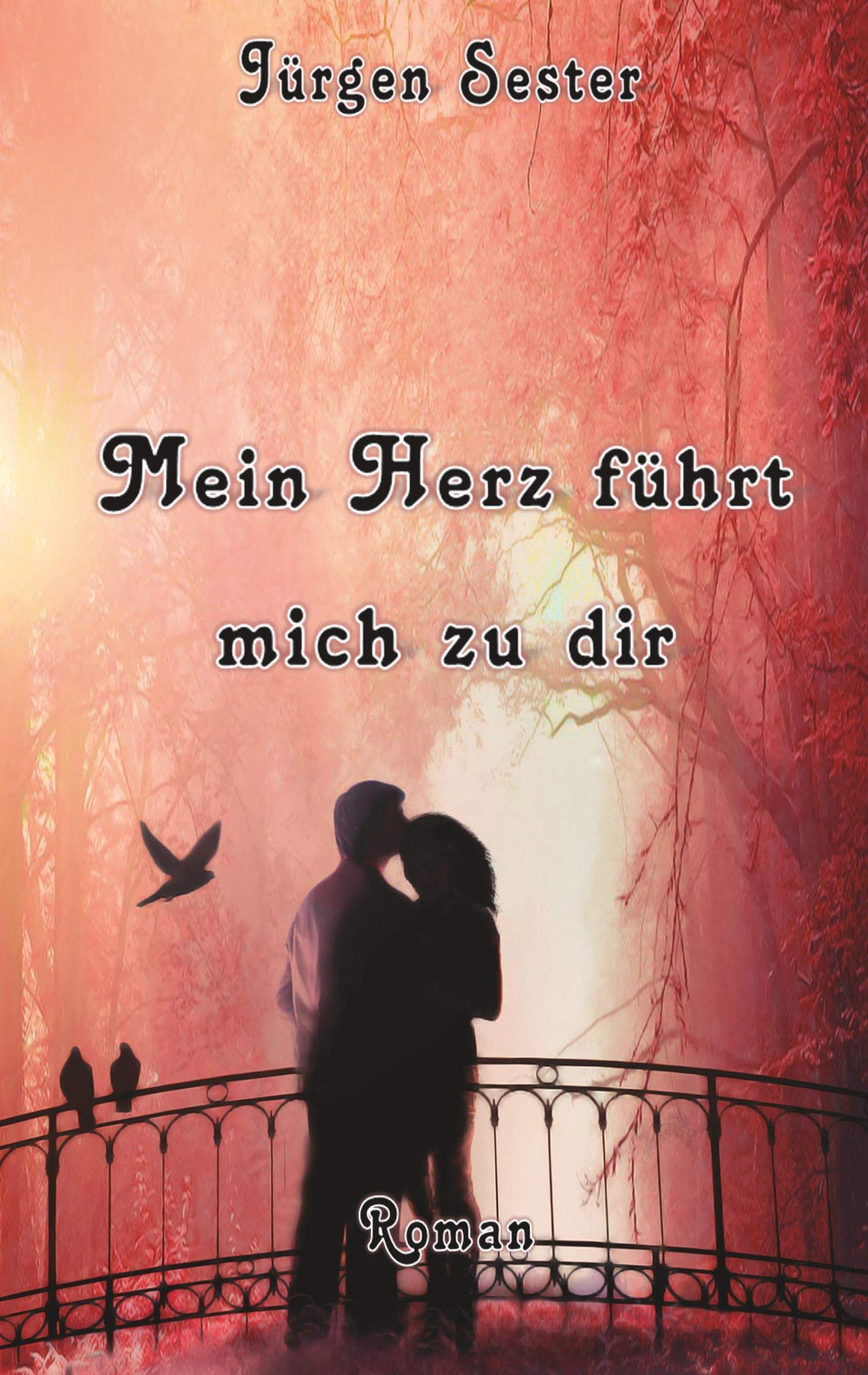 Mein Herz führt mich zu dir Contemporary literature
