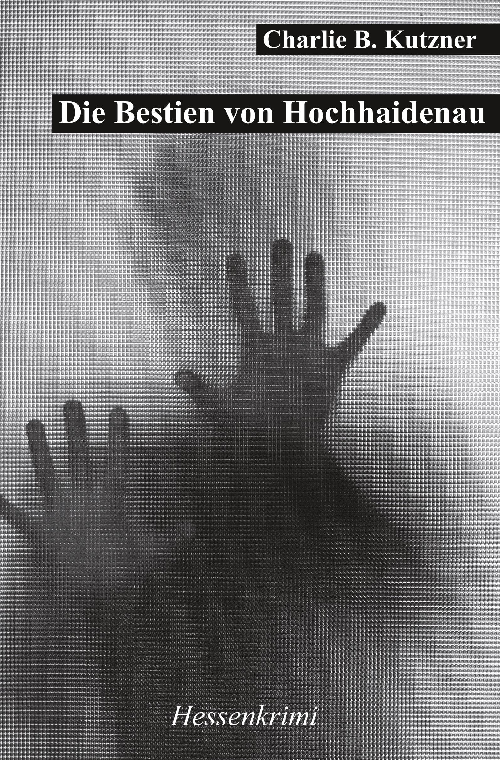 Die Bestien von Hochhaidenau Contemporary literature
