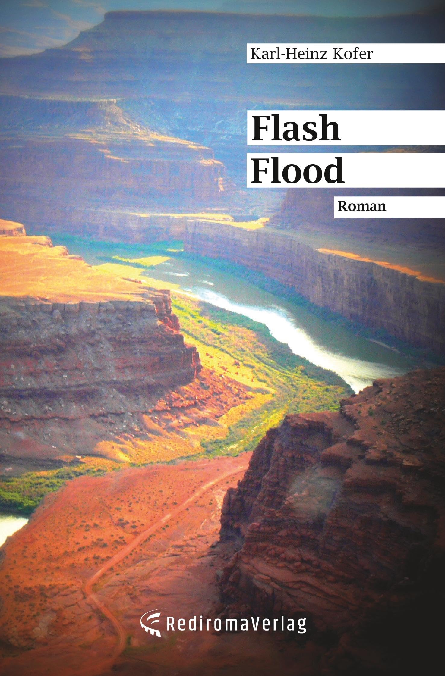 Flash Flood Contemporary literature Books