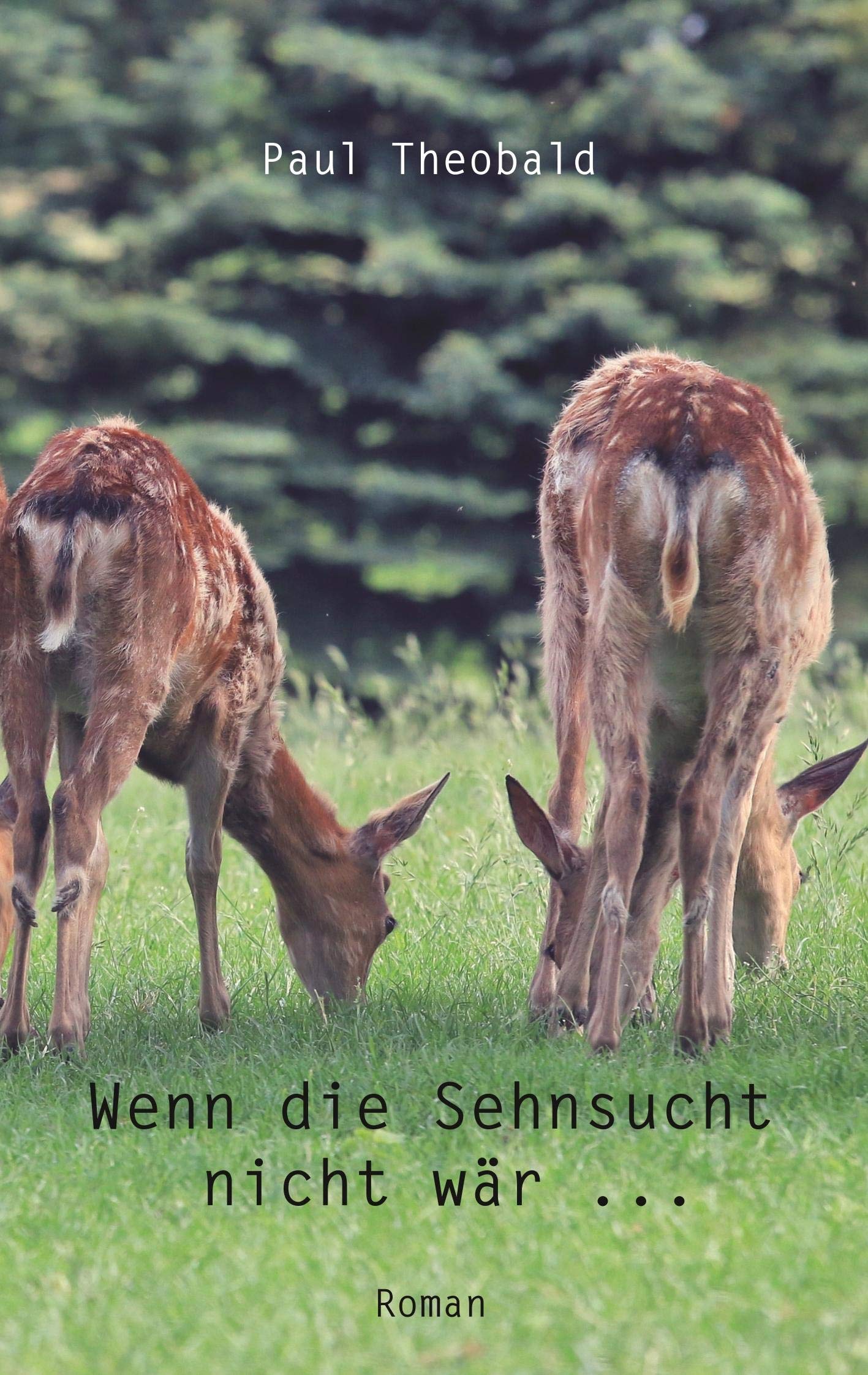 Wenn die Sehnsucht nicht wär ... Contemporary literature