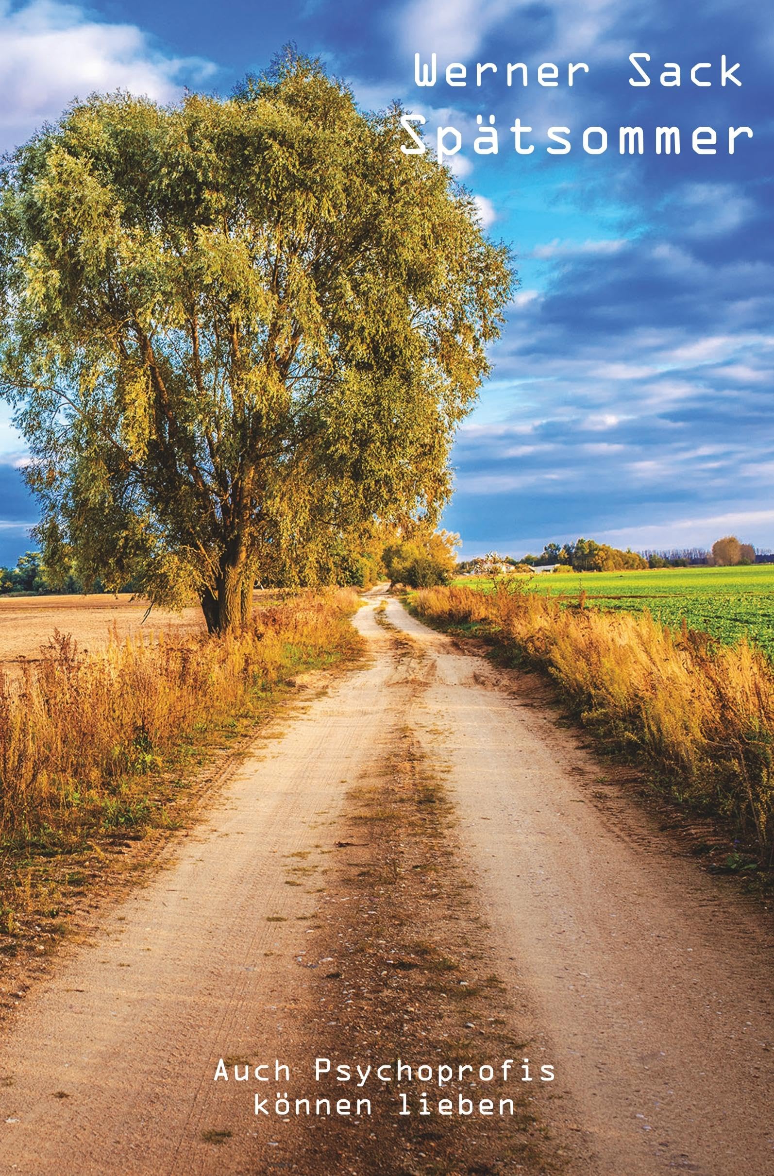Spätsommer: Auch Psychoprofis können lieben Contemporary literature
