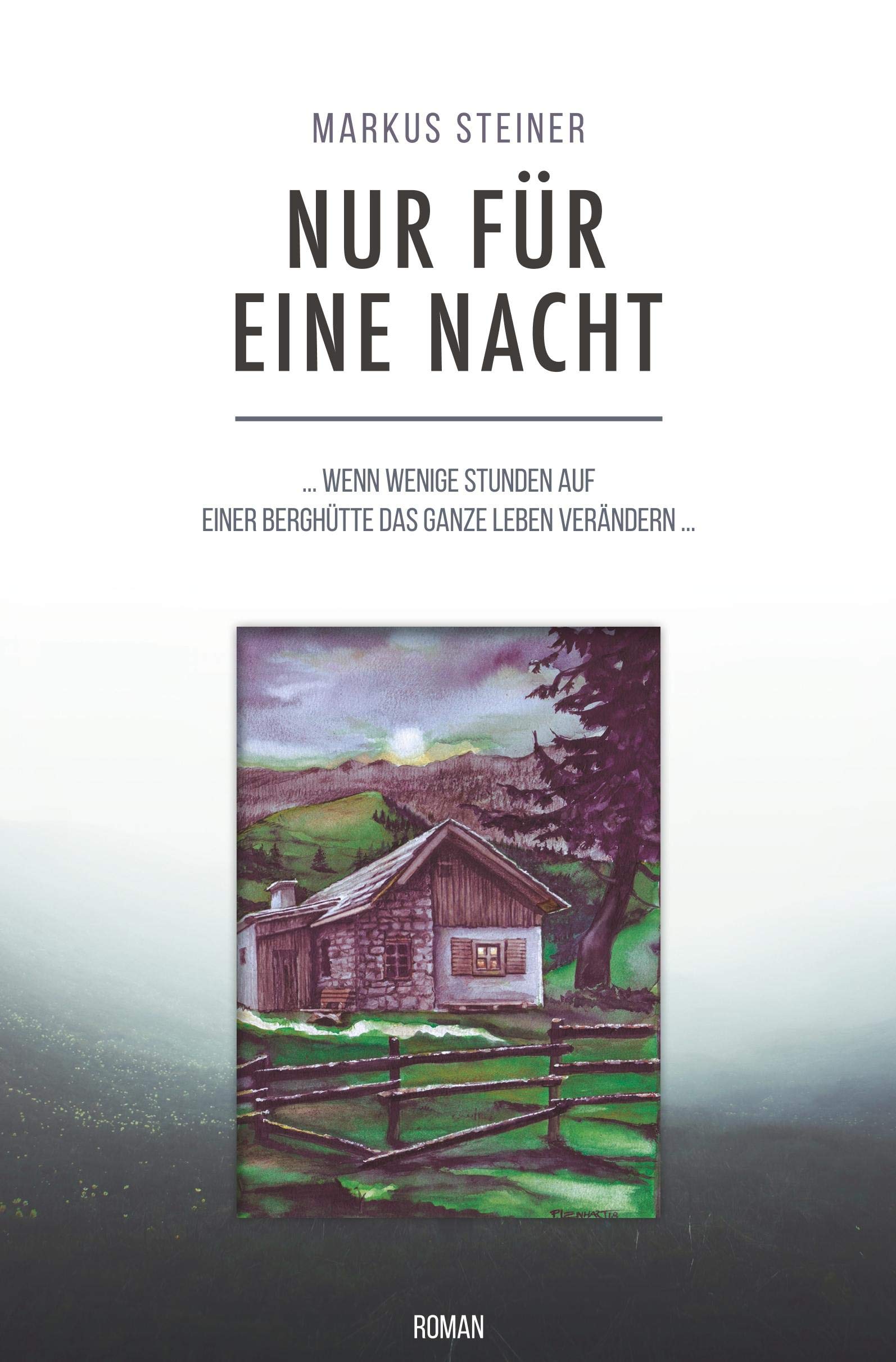 Nur für eine Nacht Contemporary literature