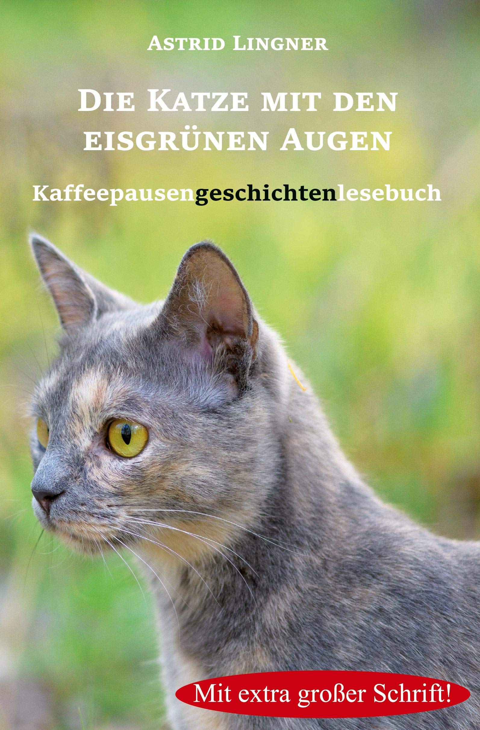 Die Katze mit den eisgrünen Augen: Kaffeepausengeschichtenlesebuch Contemporary literature