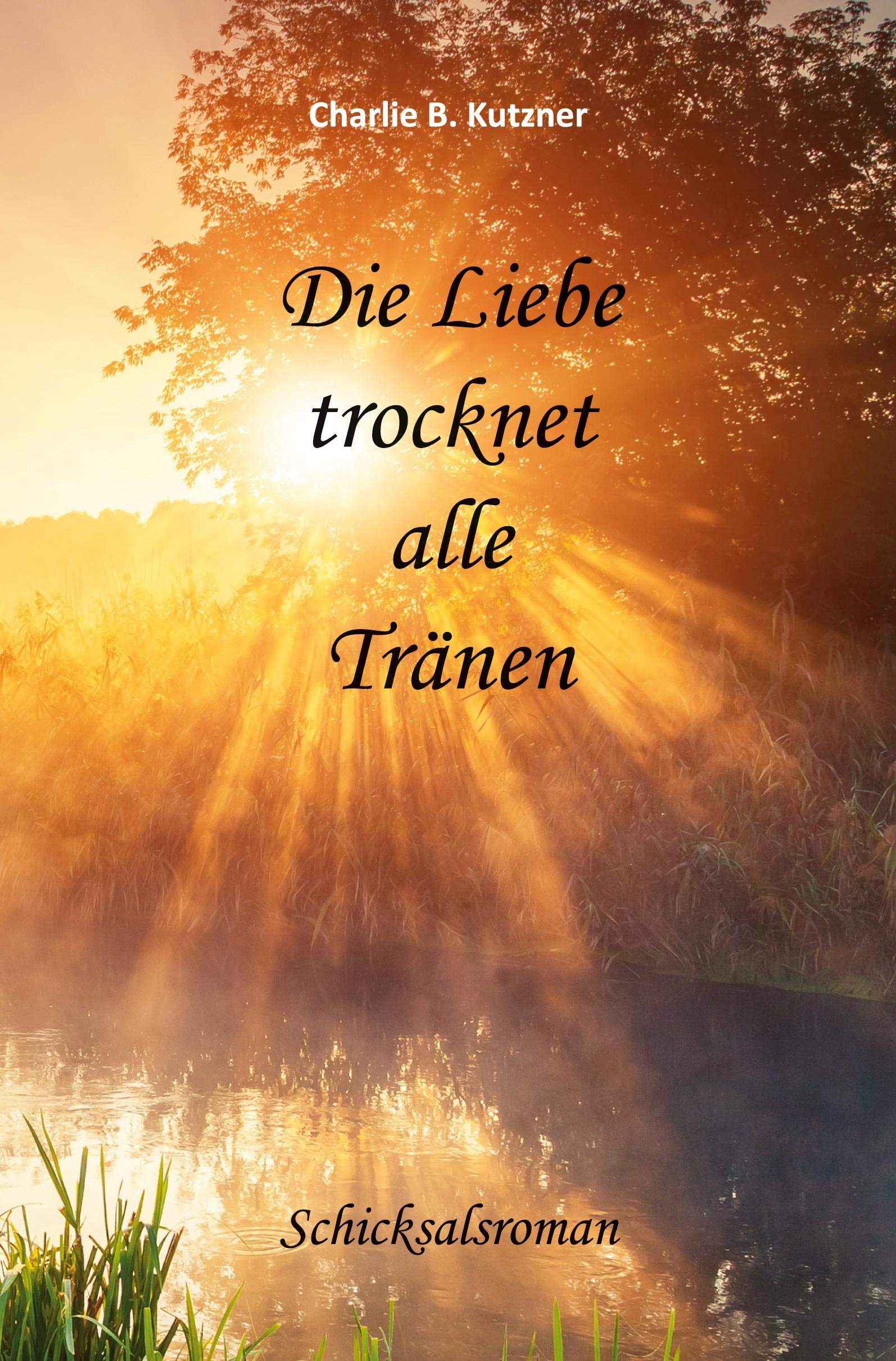 Die Liebe trocknet alle Tränen Contemporary literature