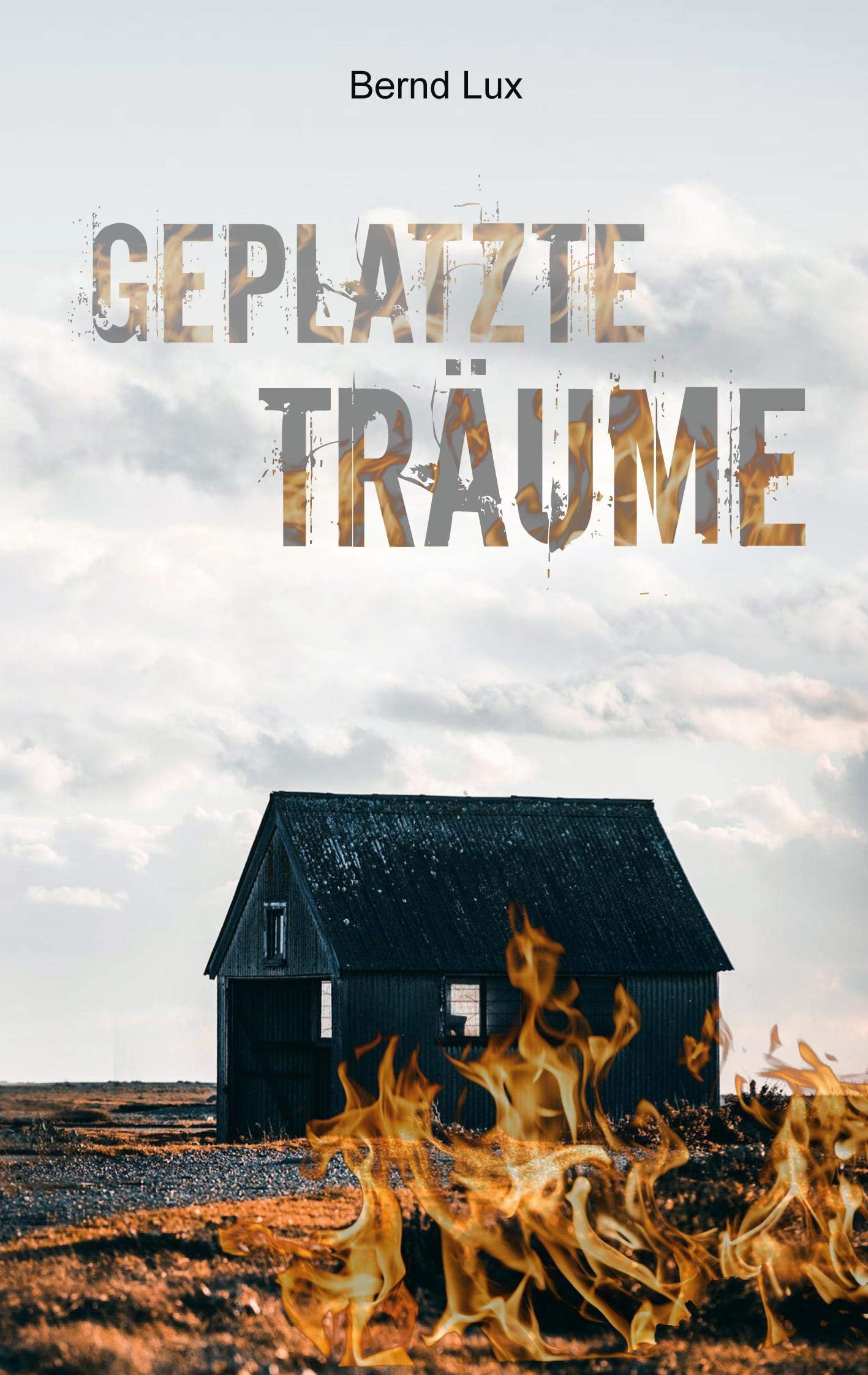 Geplatzte Träume Contemporary literature Books