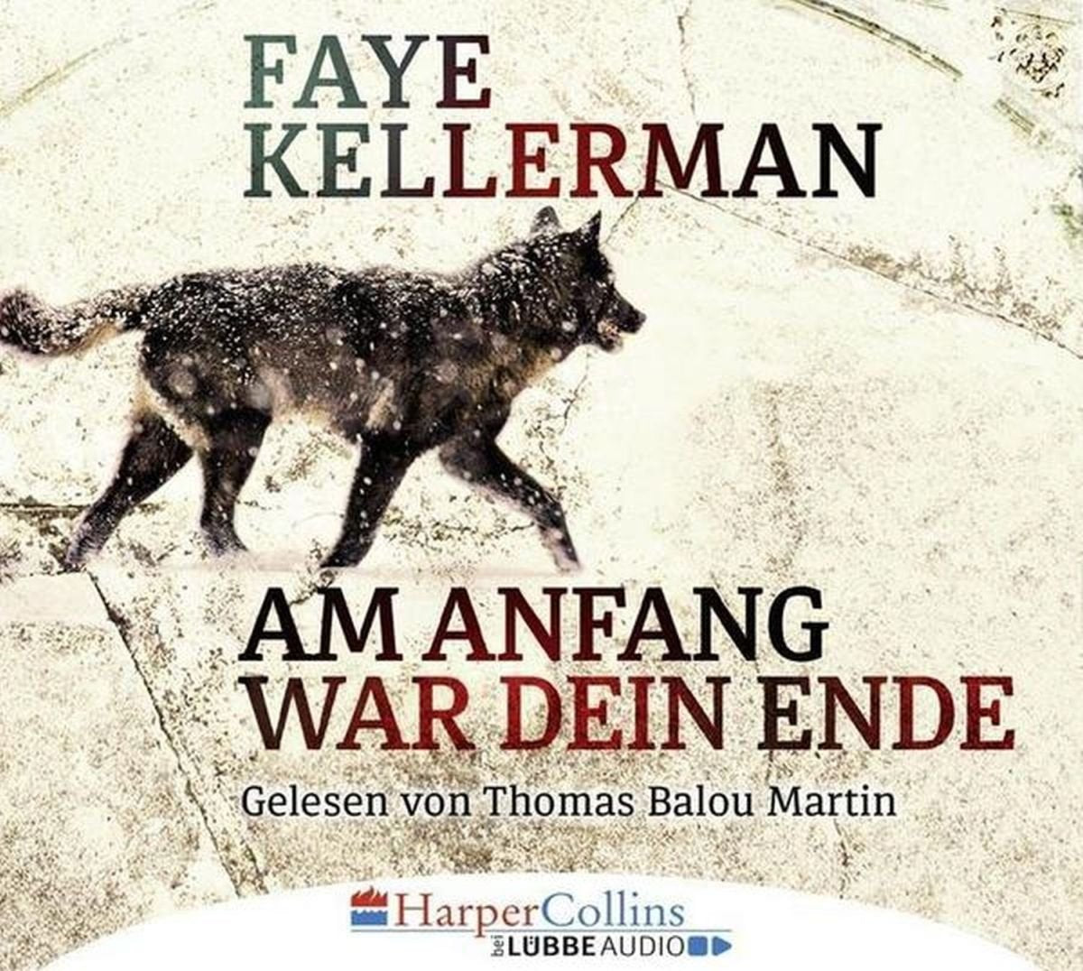 Am Anfang war dein Ende Contemporary literature Books
