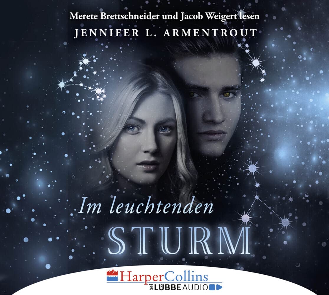 Im leuchtenden Sturm Contemporary literature