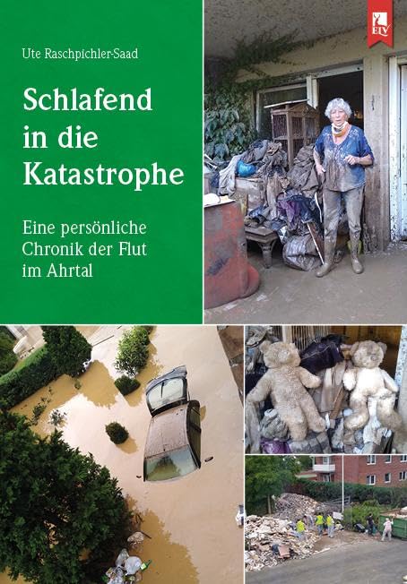 Schlafend in die Katastrophe Essays & Short Stories