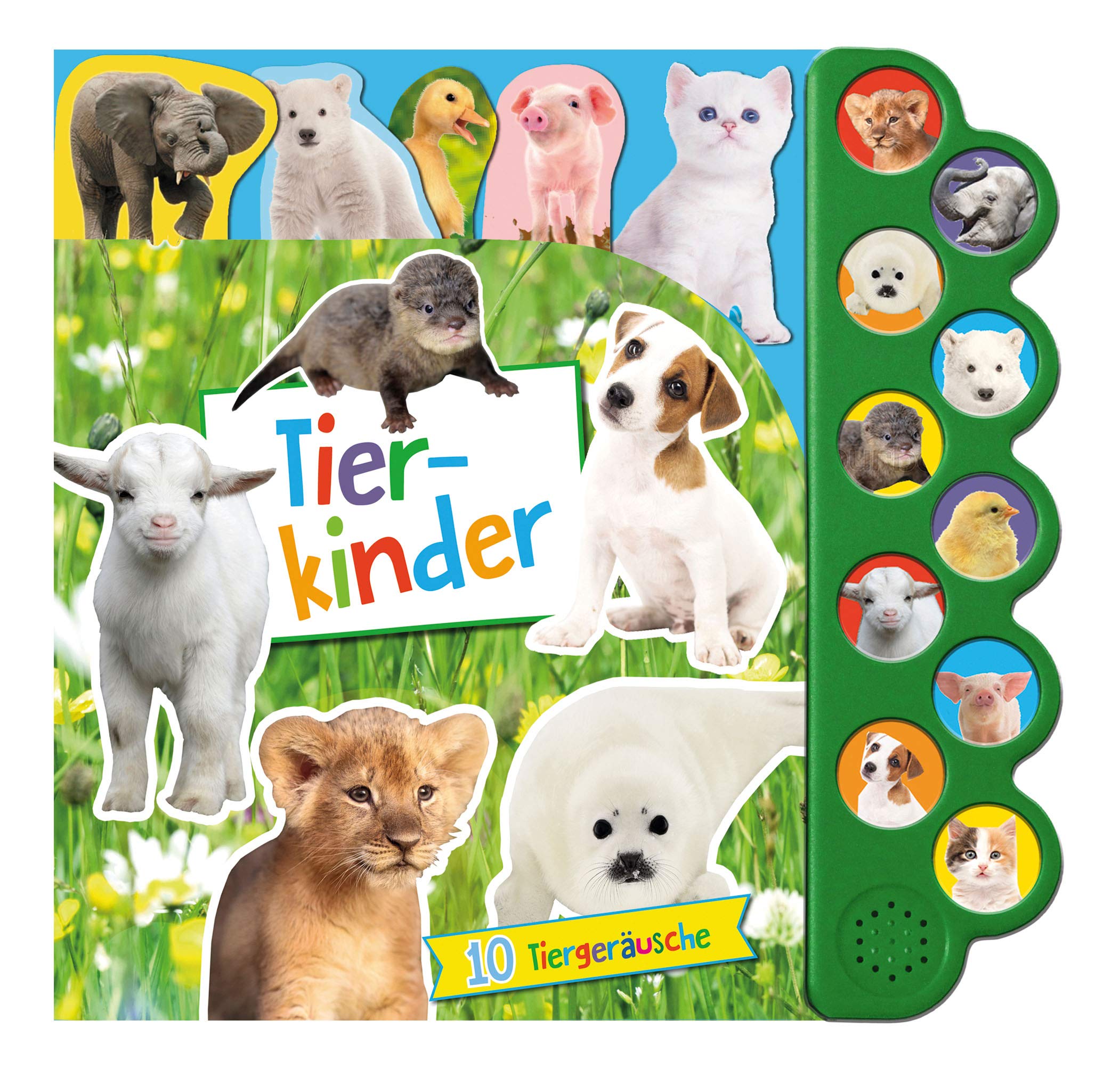 Soundbuch Tierkinder: Soundleiste mit 10 Tiergeräuschen Non-fiction