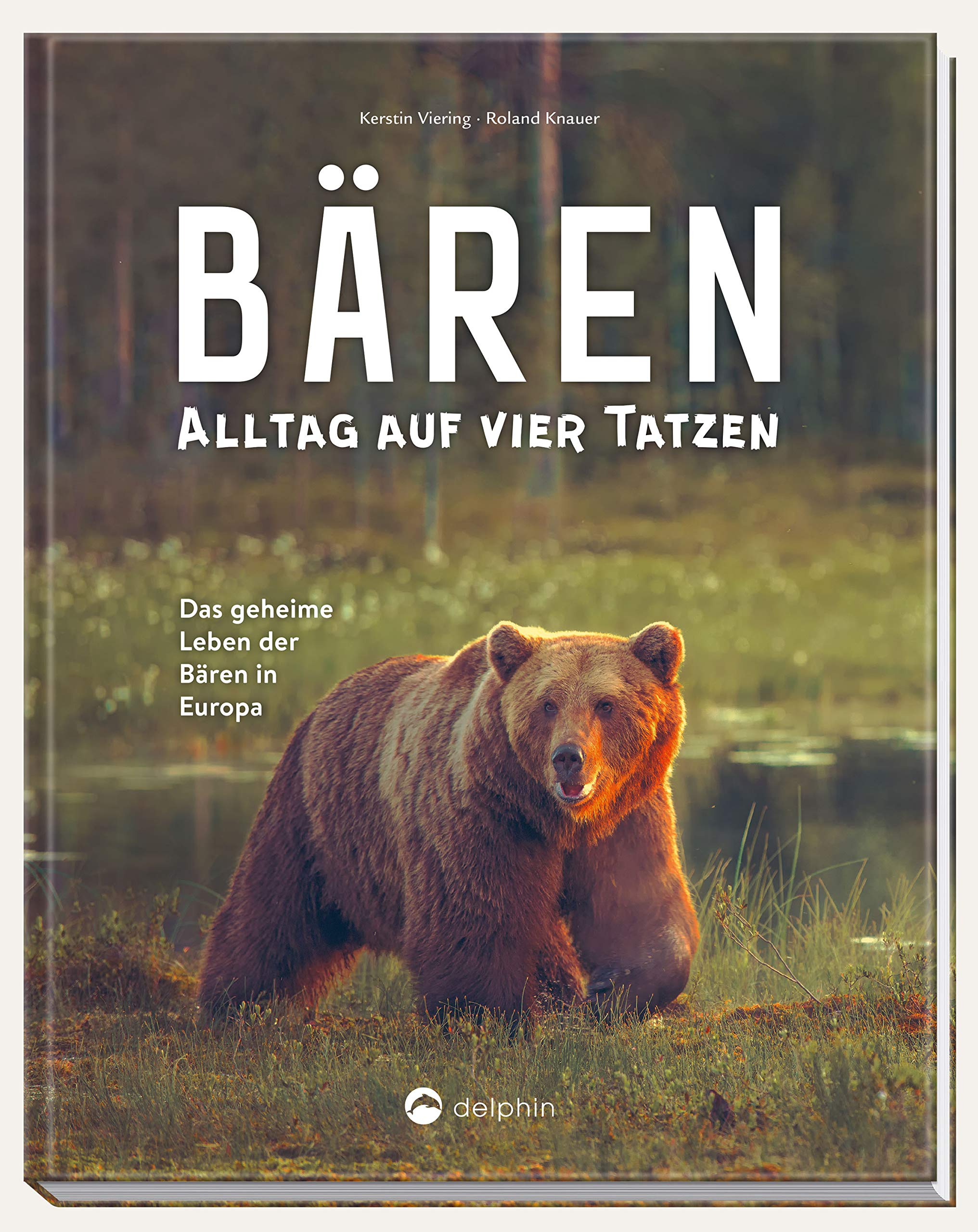 Product Image: Bären - Alltag auf vier Tatzen