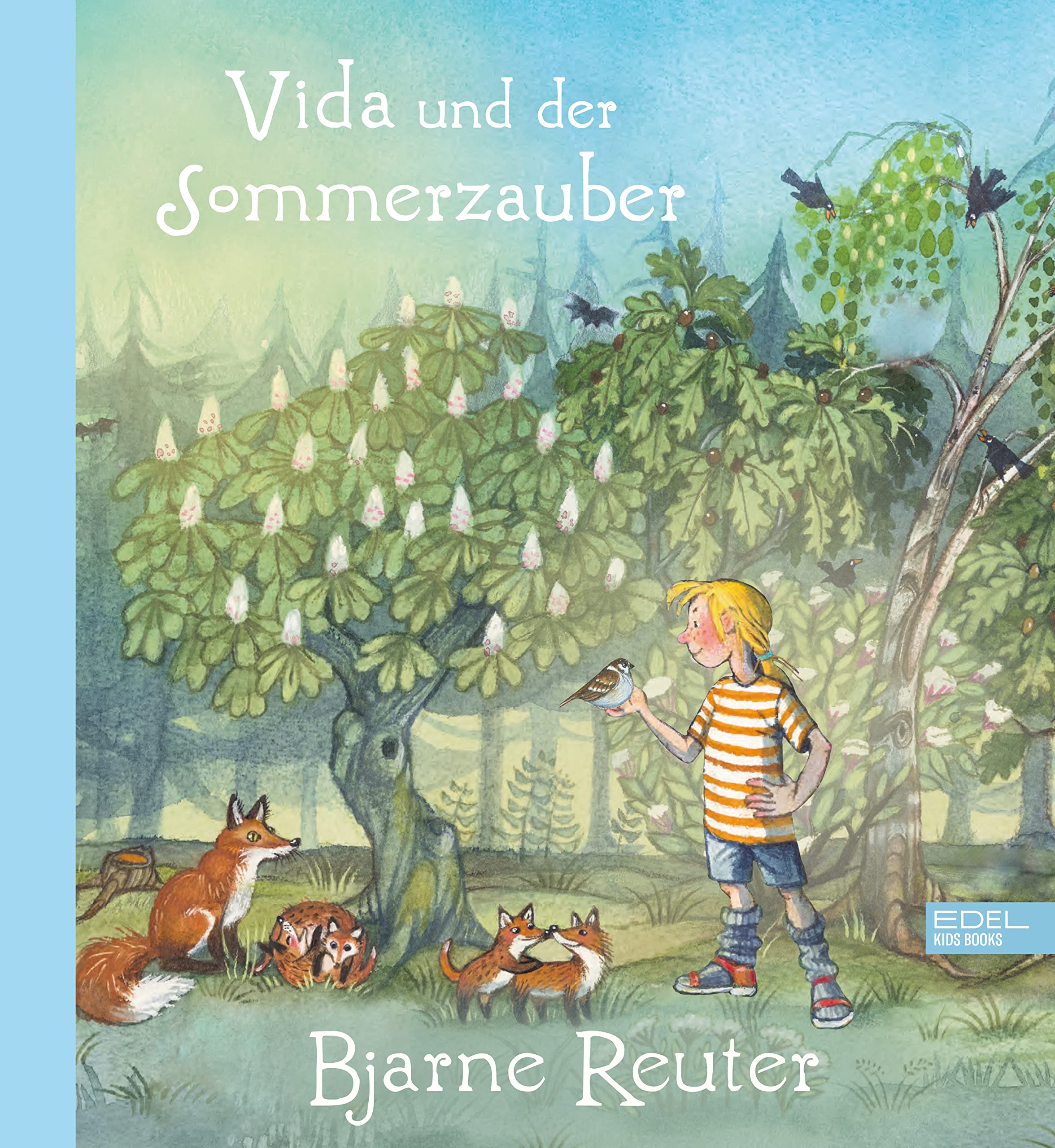Vida und der Sommerzauber: Zauberhafte Abenteuer-Geschichte in Skandinavien zum Vorlesen ab 5 Jahren Novels & Short Stories