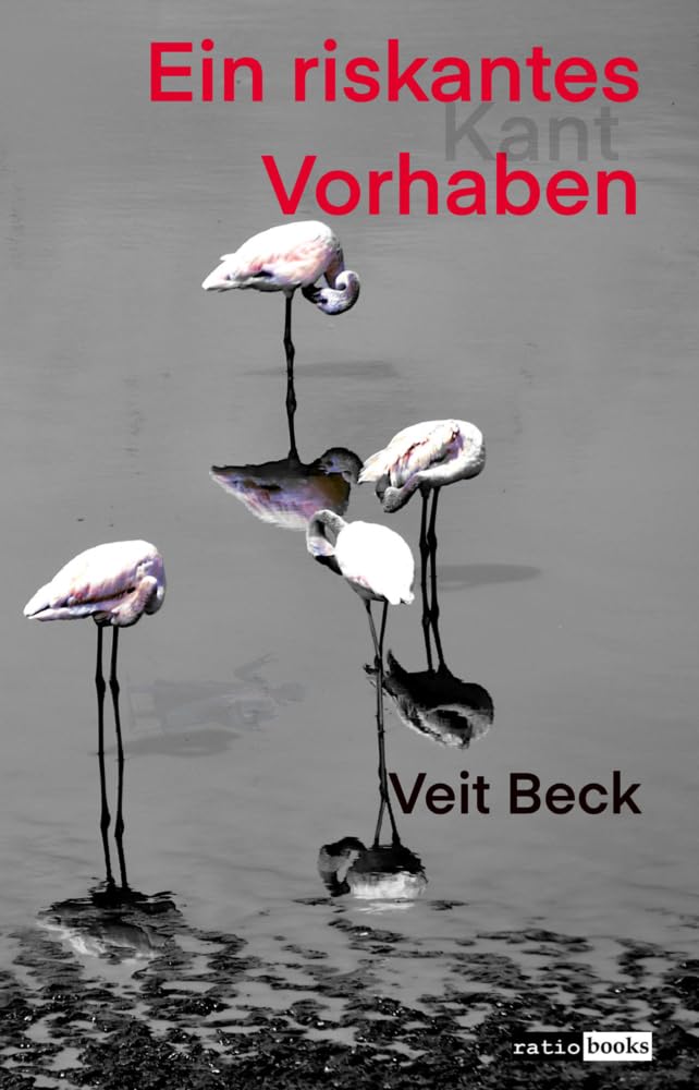 Ein riskantes Vorhaben (ratio-books Verlag) Philosophy