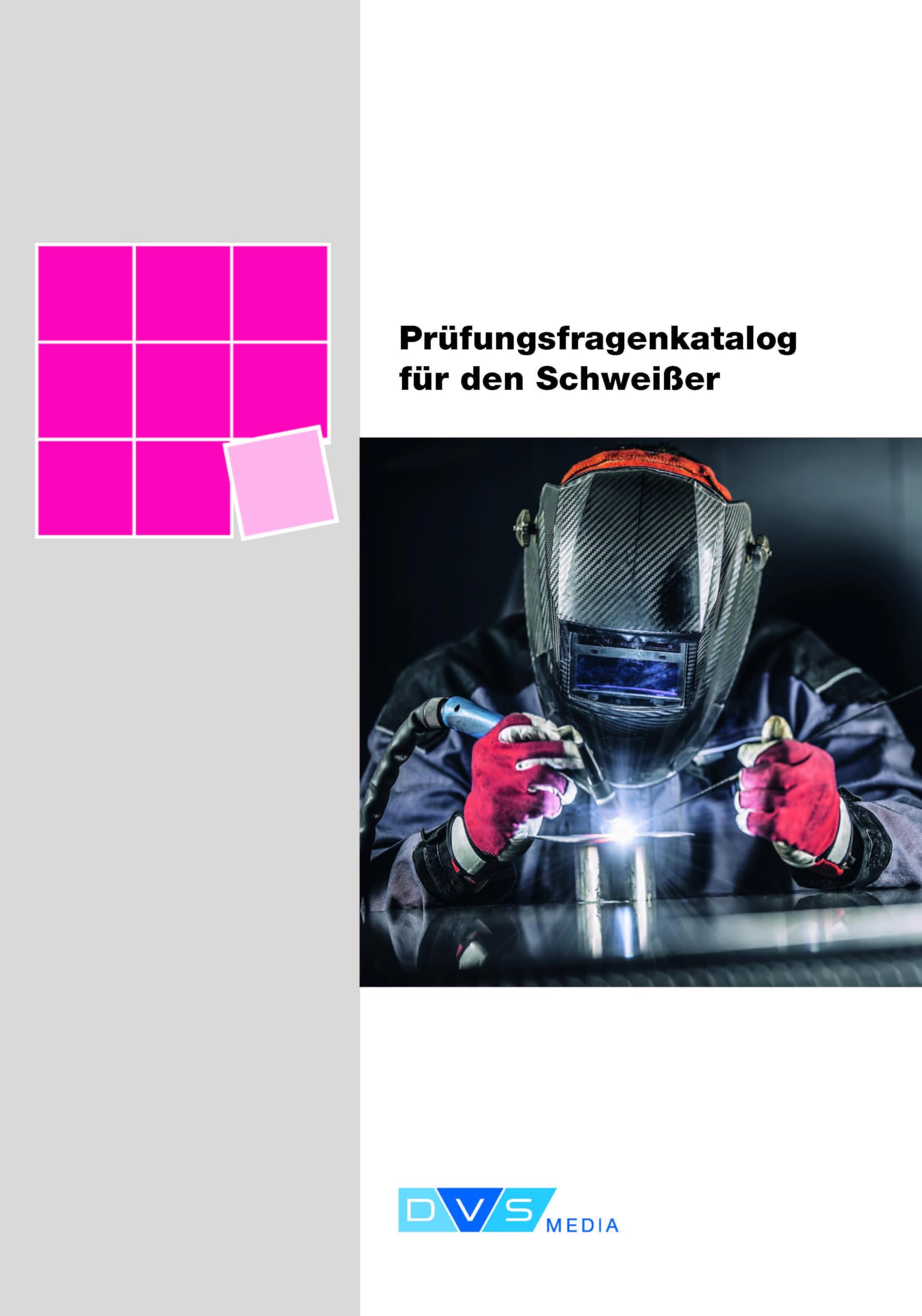 Prüfungsfragenkatalog für den Schweißer book